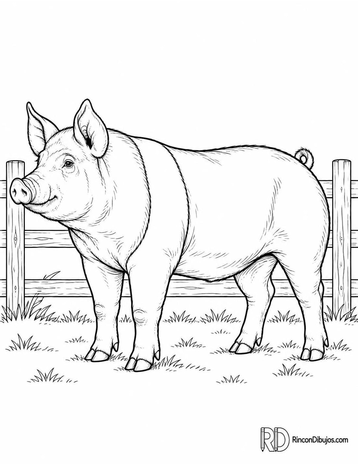 Dibujo de cerdo hampshire para colorear Dibujo de cerdo hampshire para colorear