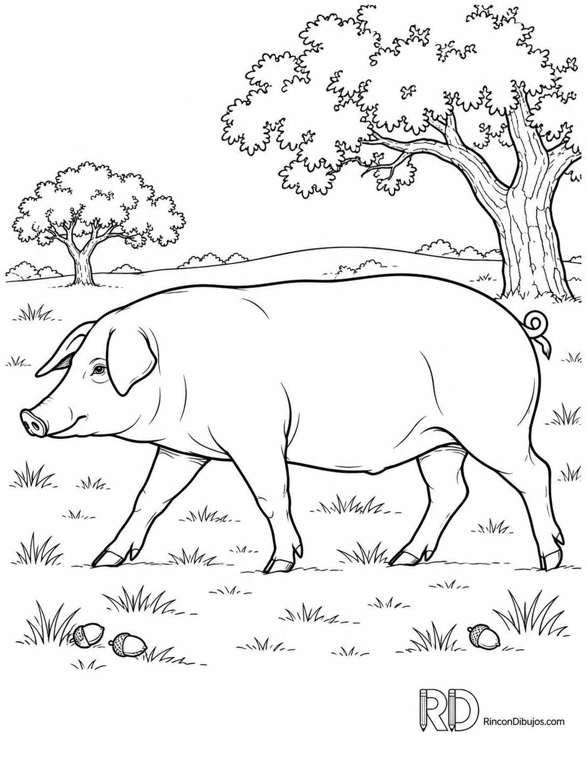 Dibujo de cerdo ibérico para colorear Dibujo de cerdo ibérico para colorear