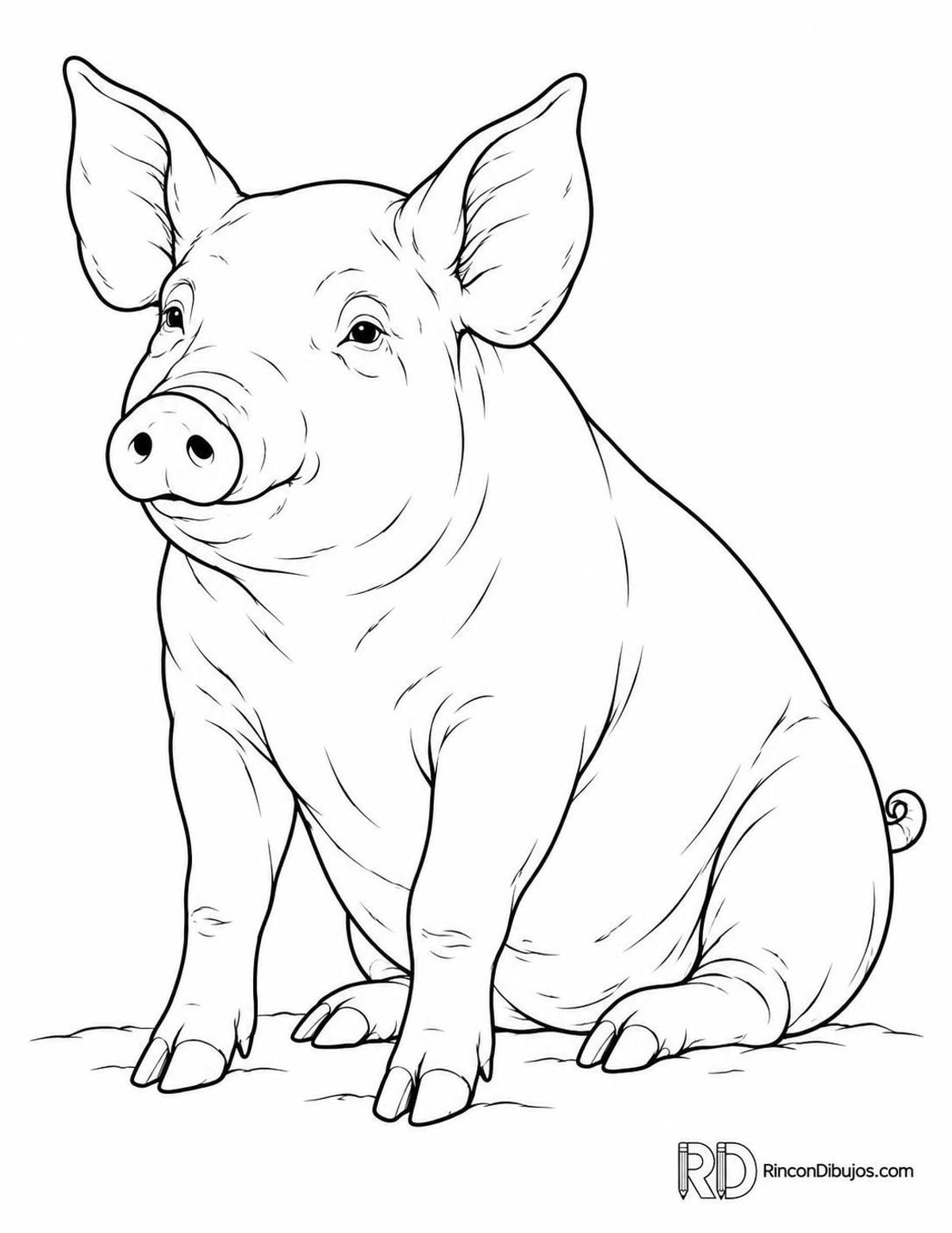 Dibujo de cerdo large white para colorear Dibujo de cerdo large white para colorear