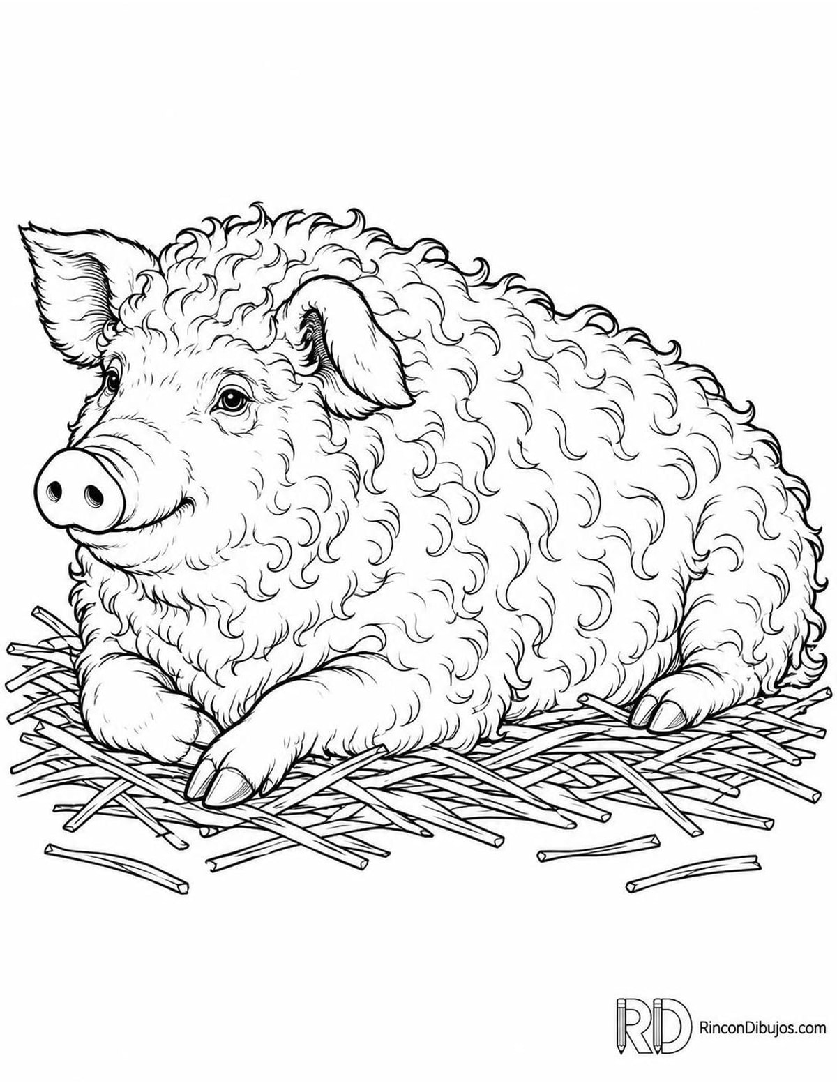 Dibujo de cerdo mangalica para colorear Dibujo de cerdo mangalica para colorear