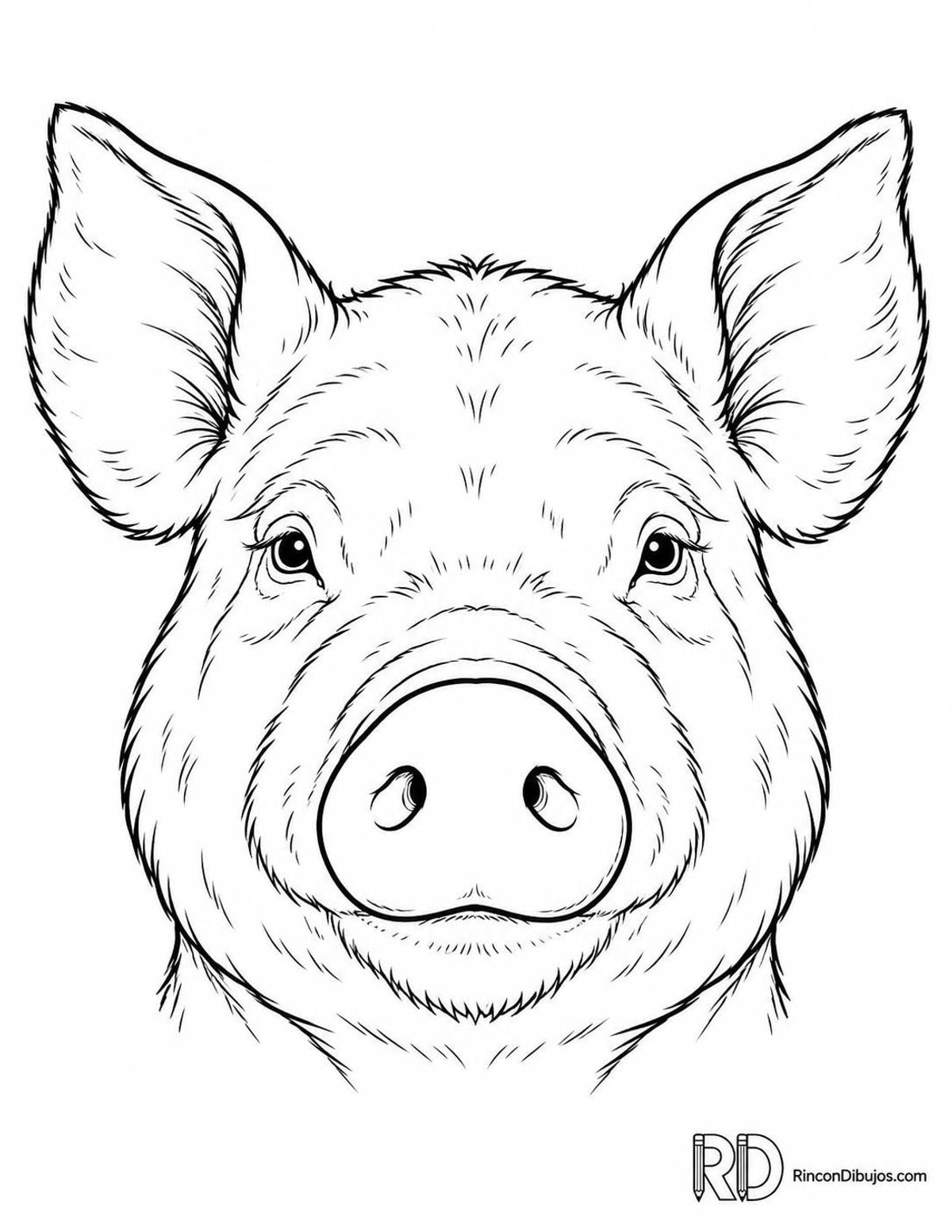 Dibujo de cerdo para colorear Dibujo de cerdo para colorear