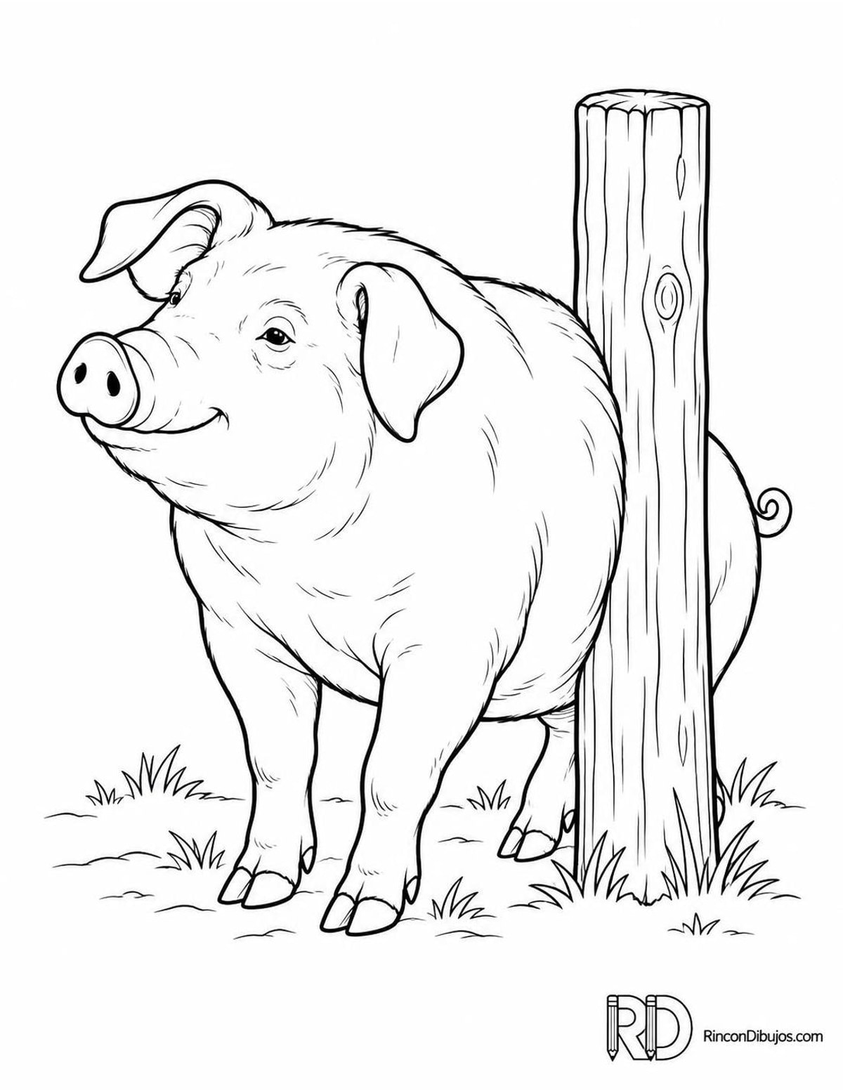Dibujo de cerdo rascándose para colorear Dibujo de cerdo rascándose para colorear
