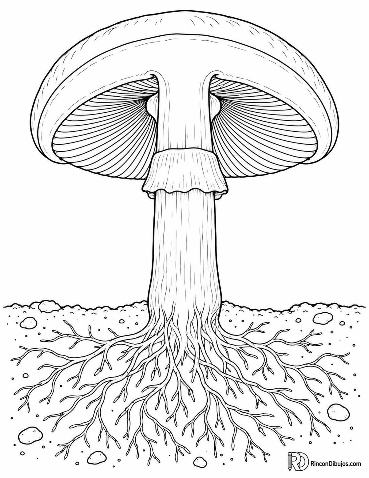 Dibujo de champiñón para colorear