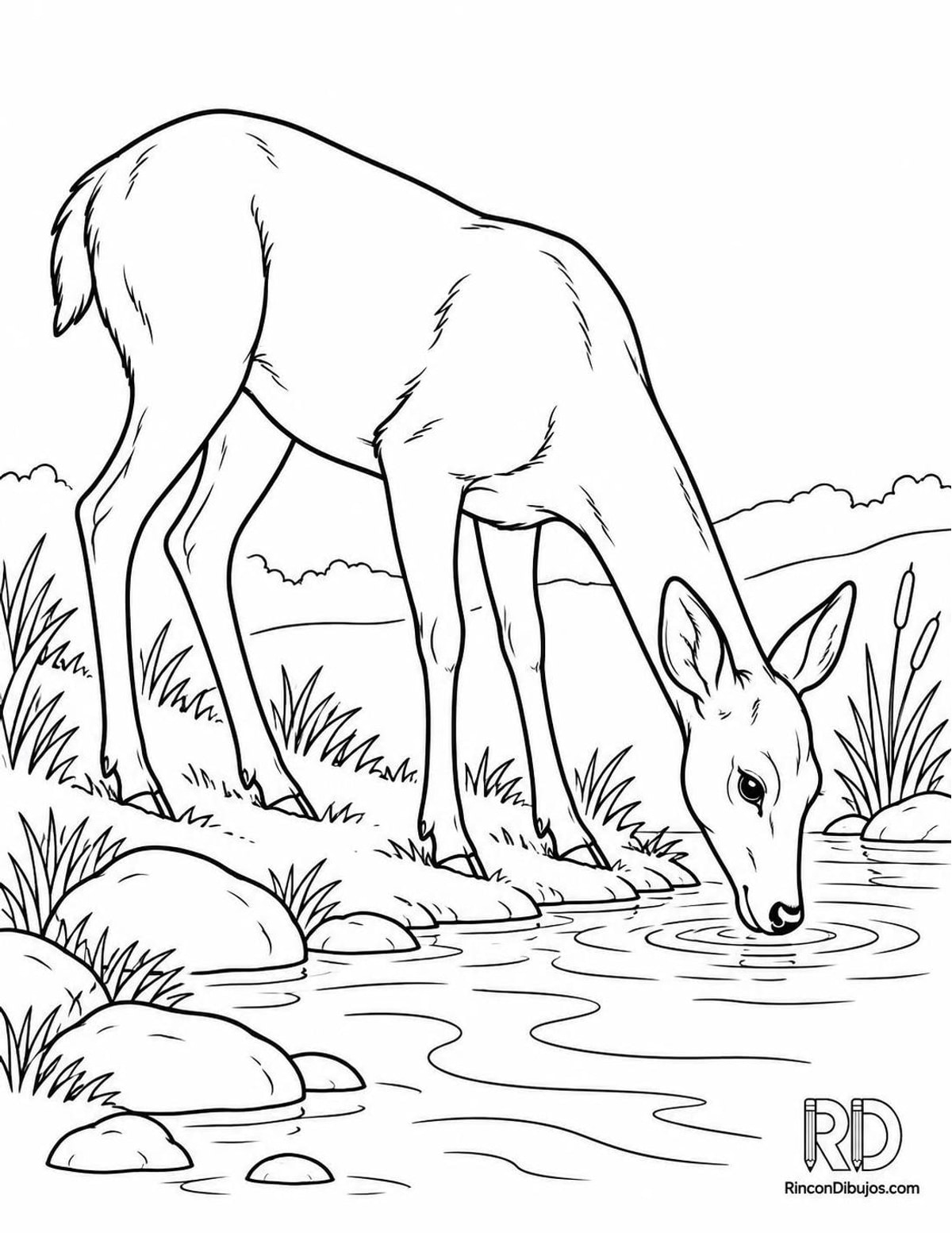 Dibujo de cierva bebiendo para colorear Dibujo de cierva bebiendo para colorear