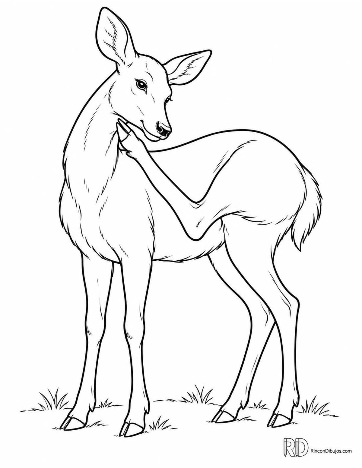 Dibujo de cierva rascándose para colorear Dibujo de cierva rascándose para colorear