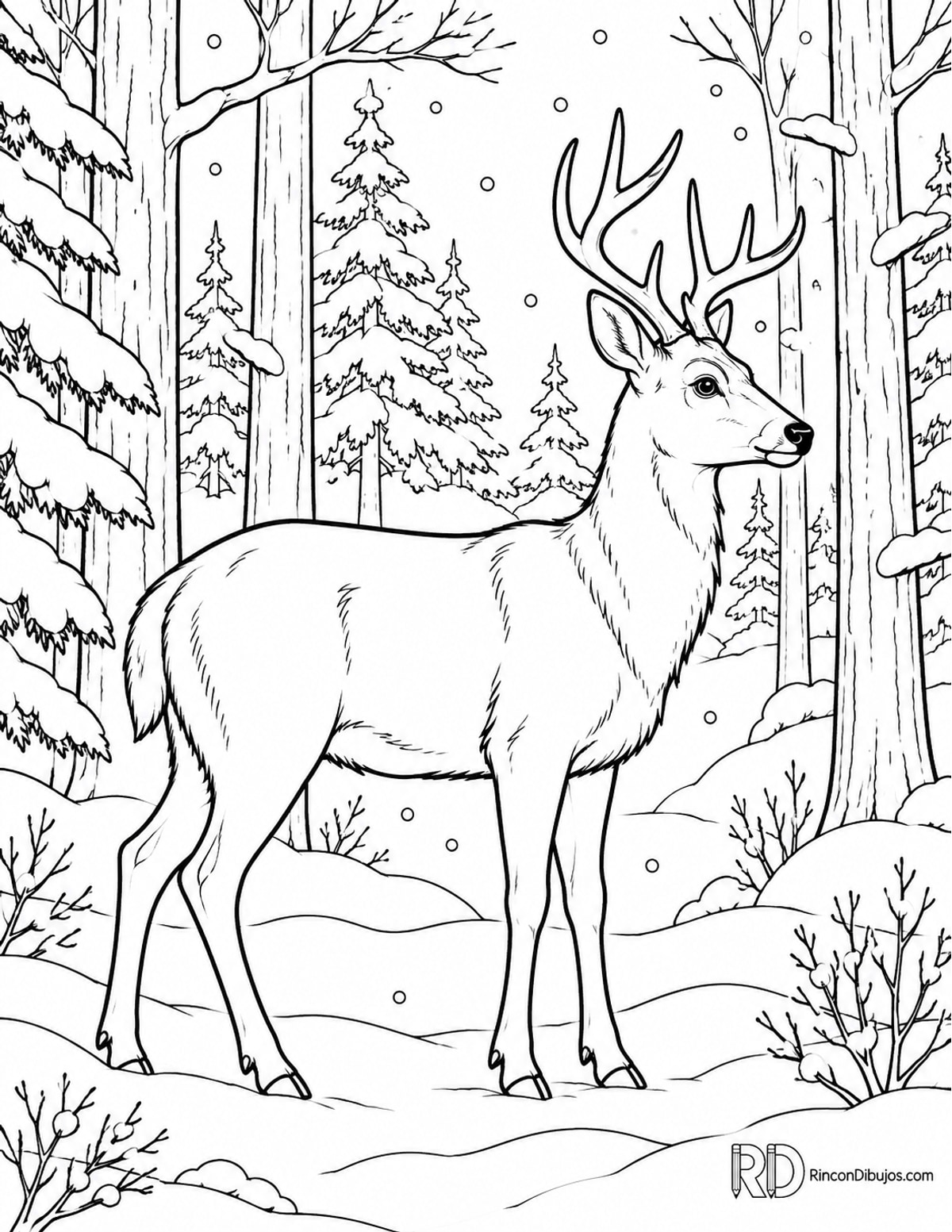 Dibujo de ciervo invernal para colorear Dibujo de ciervo invernal para colorear
