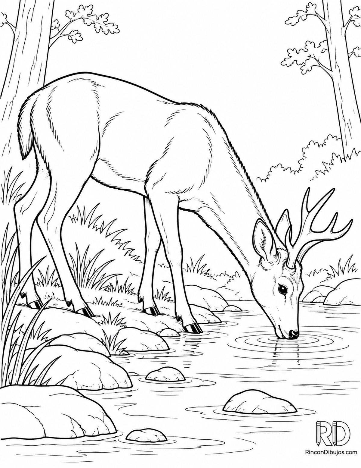 Dibujo de ciervo para colorear Dibujo de ciervo para colorear