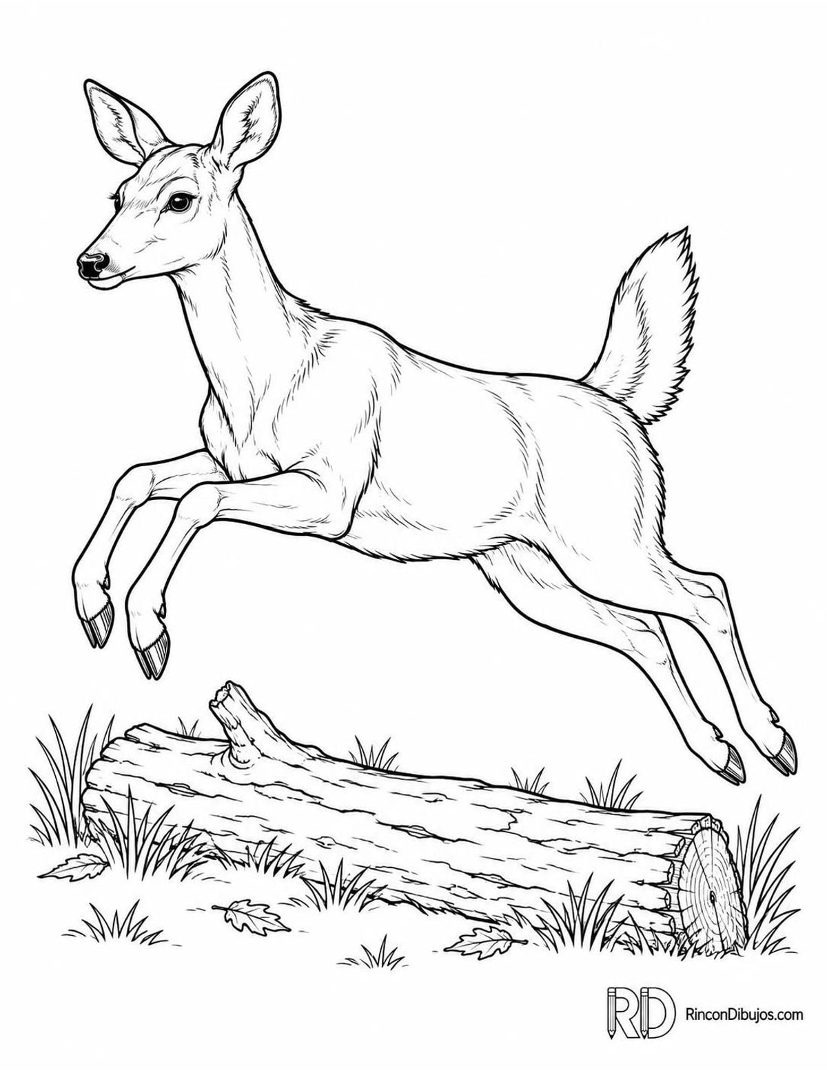 Dibujo de ciervo saltando para colorear Dibujo de ciervo saltando para colorear
