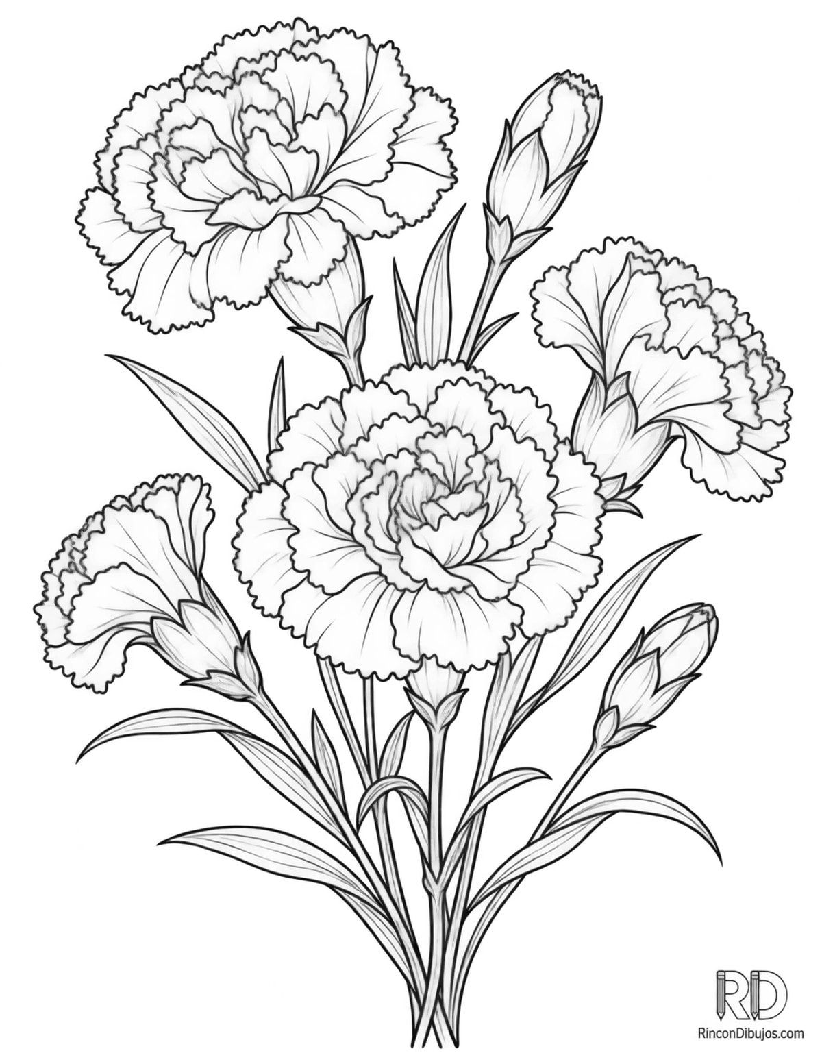 Dibujo de claveles agrupados para colorear Dibujo de claveles agrupados para colorear