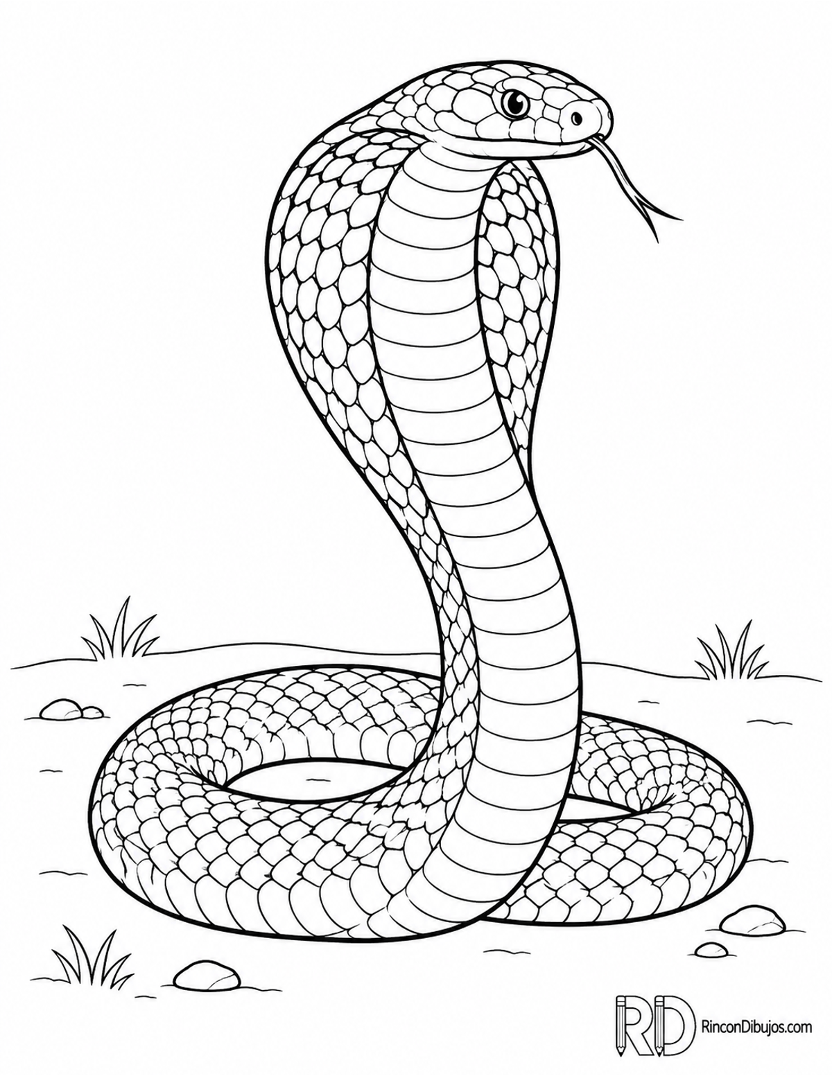 Dibujo de cobra egipcia levantada para colorear Dibujo de cobra egipcia levantada para colorear