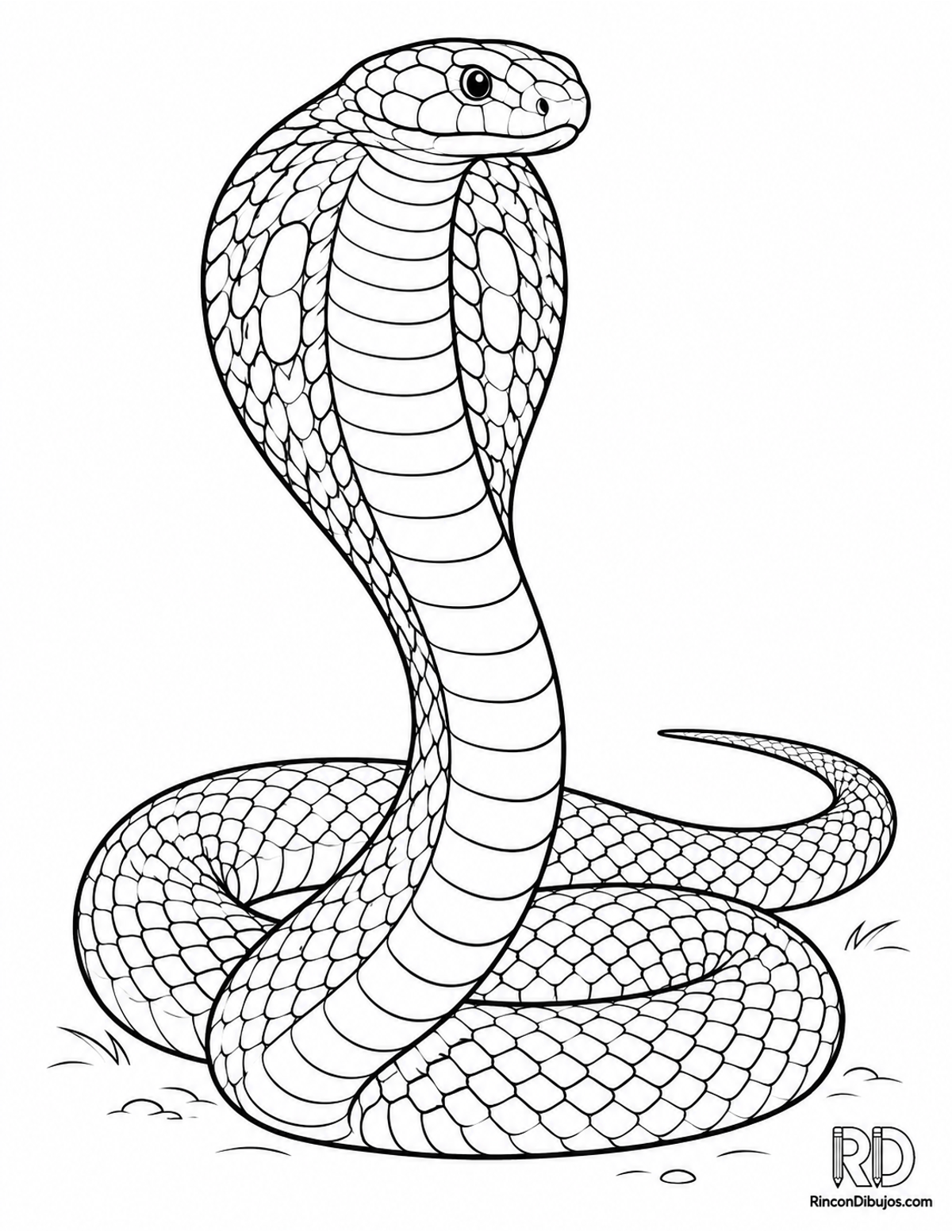 Dibujo de cobra egipcia para colorear Dibujo de cobra egipcia para colorear
