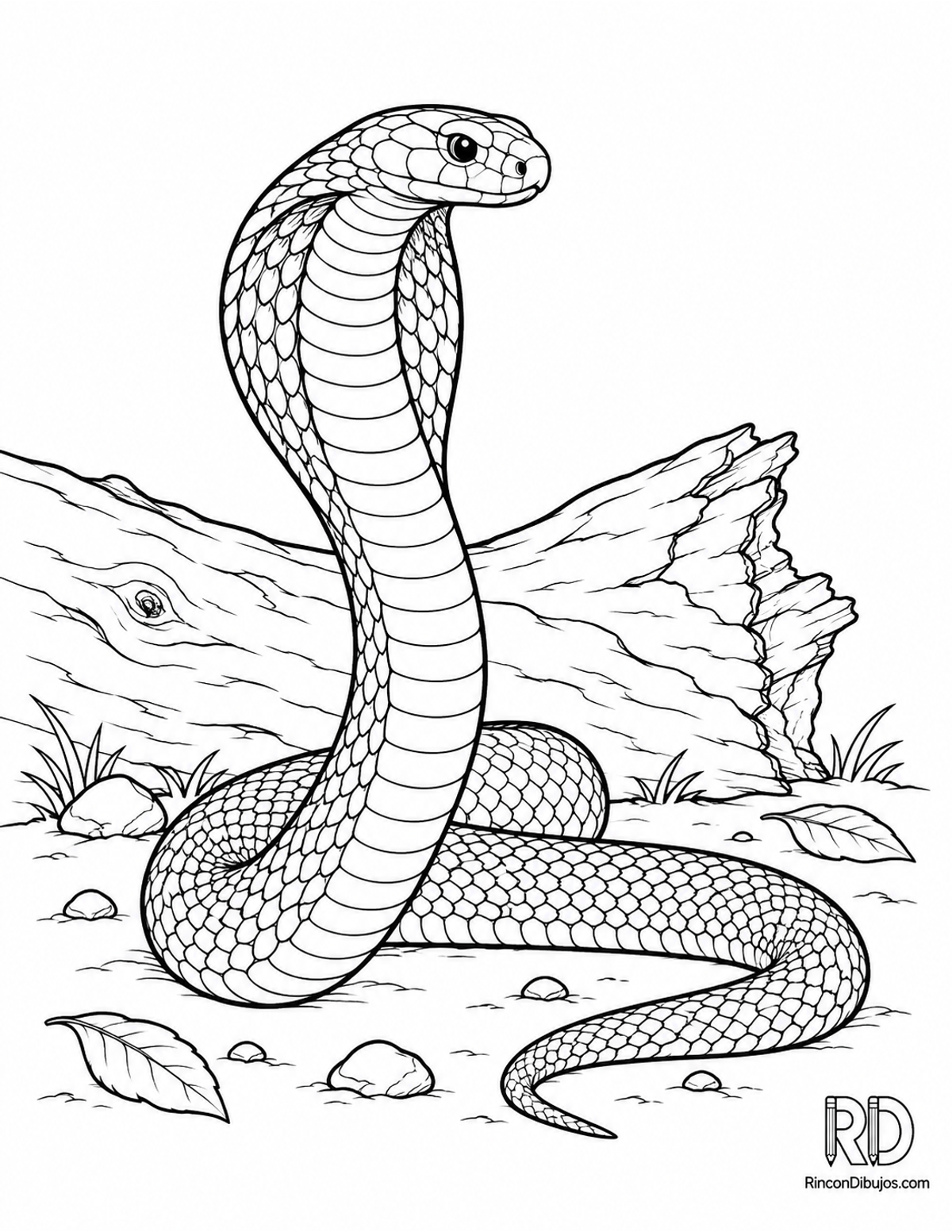 Dibujo de cobra egipcia para colorear Dibujo de cobra egipcia para colorear