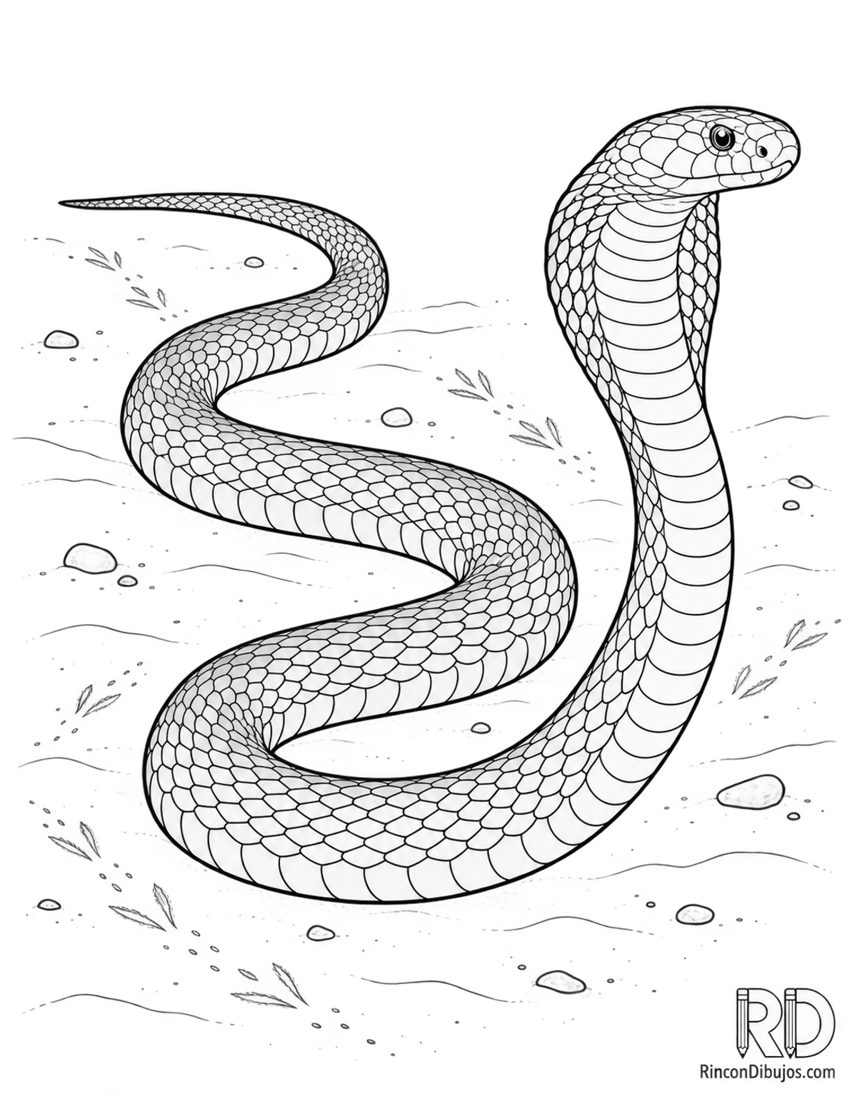 Dibujo de cobra escupidora para colorear Dibujo de cobra escupidora para colorear
