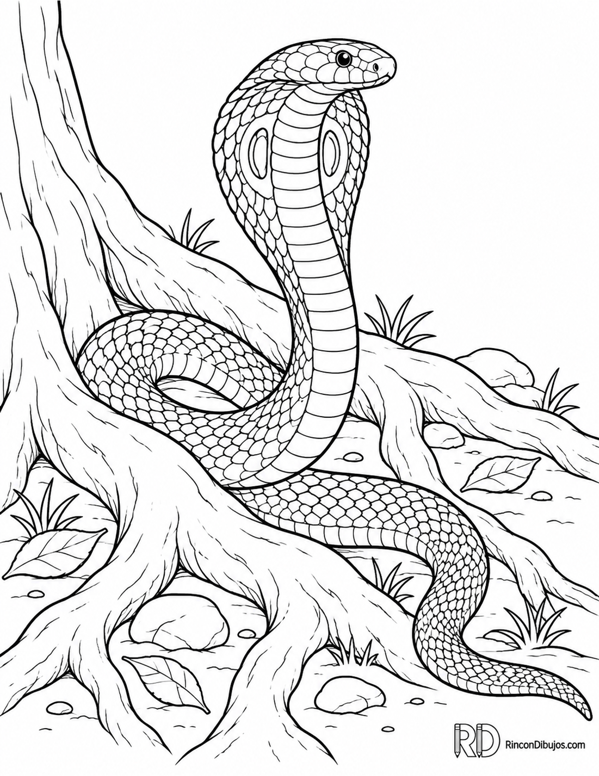Dibujo de cobra india deslizándose para colorear Dibujo de cobra india deslizándose para colorear