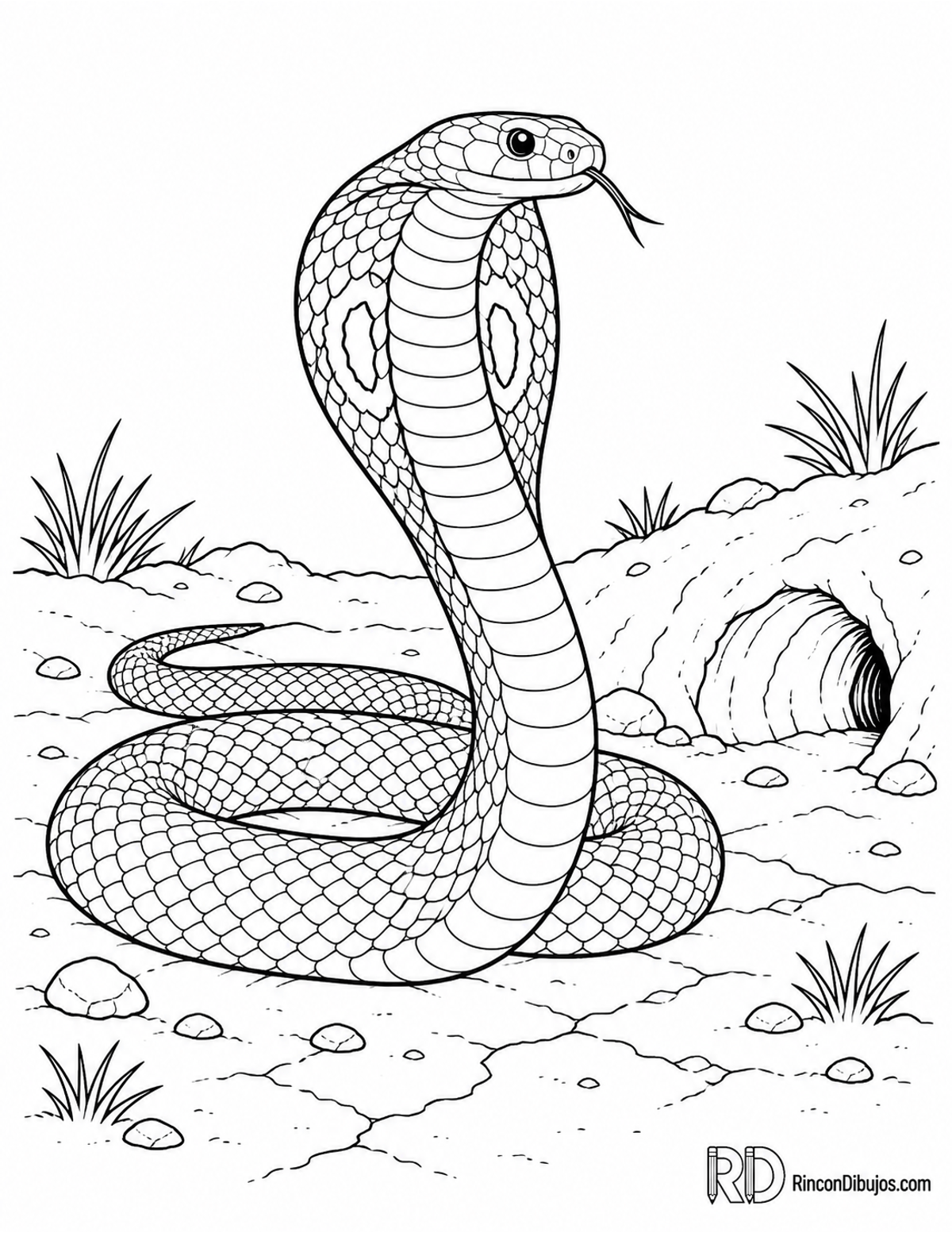 Dibujo de cobra india para colorear Dibujo de cobra india para colorear