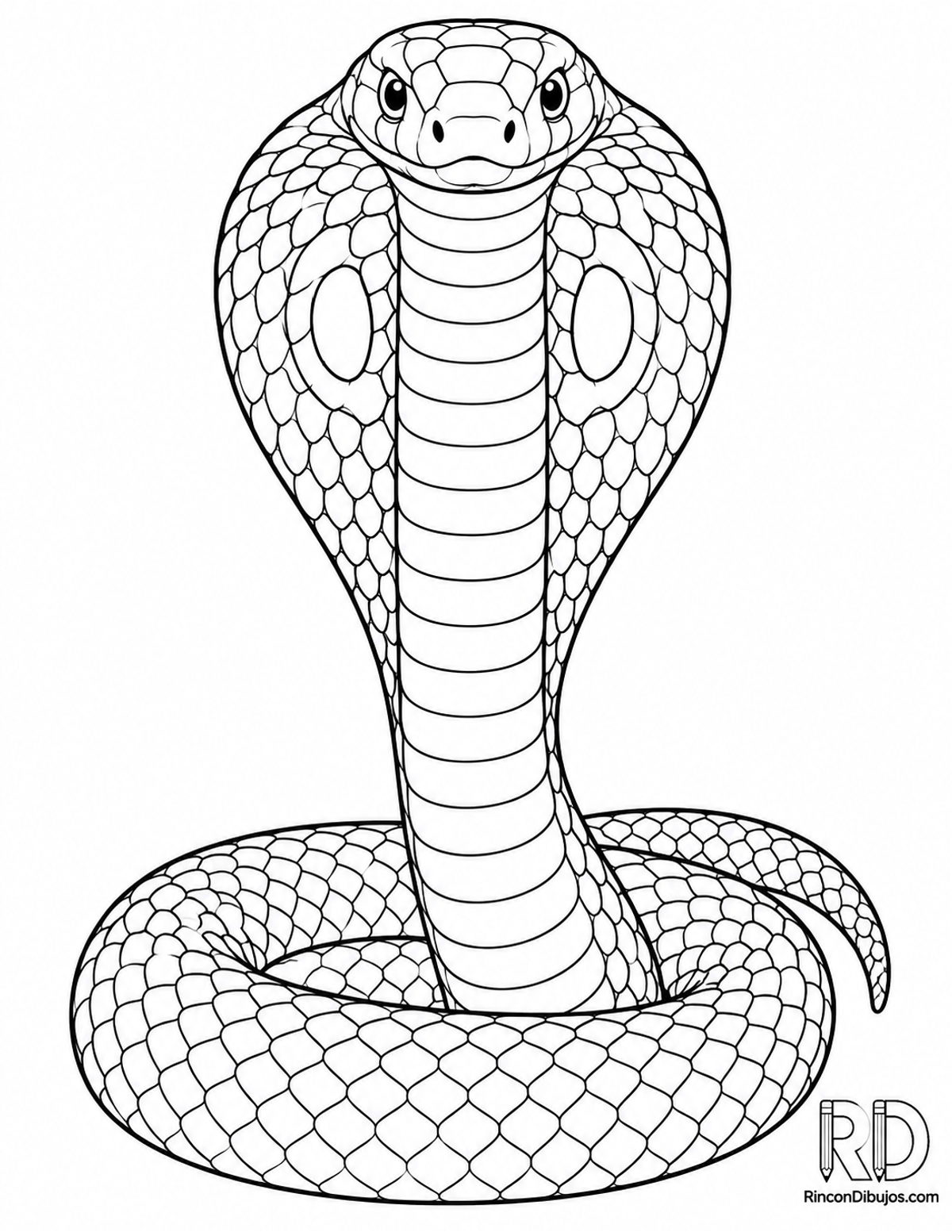 Dibujo de cobra india para colorear Dibujo de cobra india para colorear