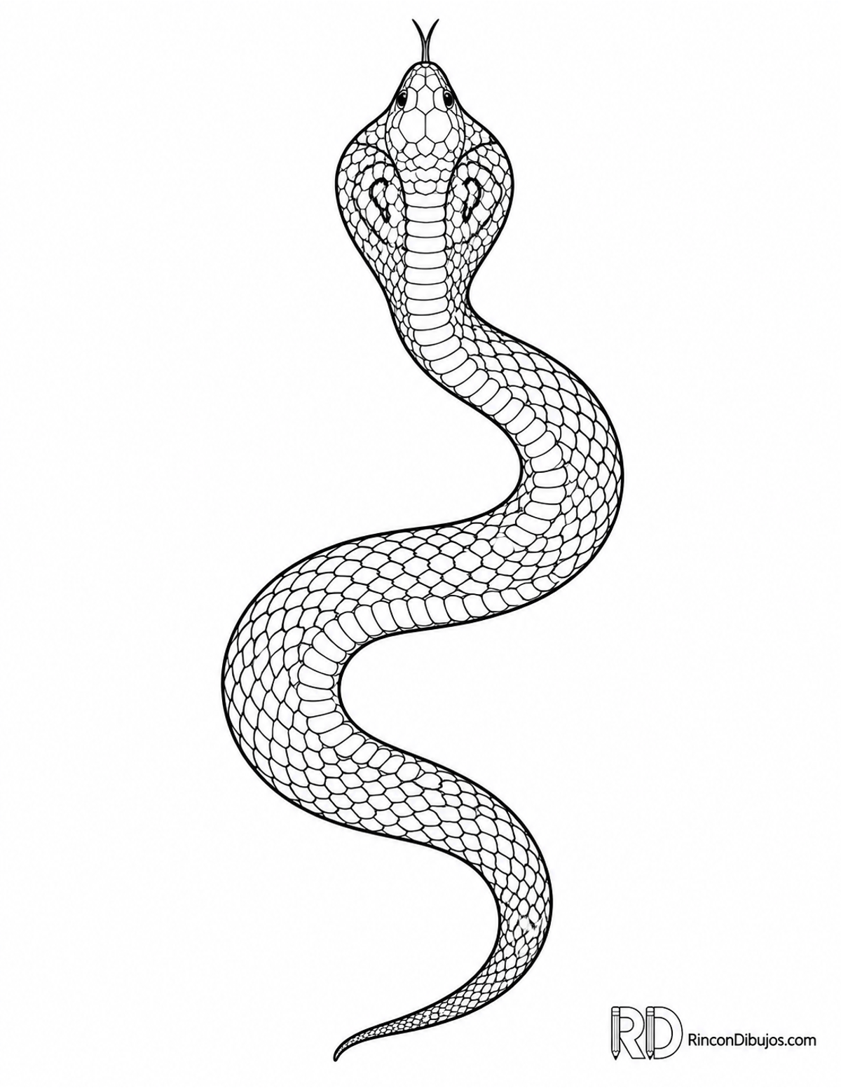 Dibujo de cobra india para colorear Dibujo de cobra india para colorear