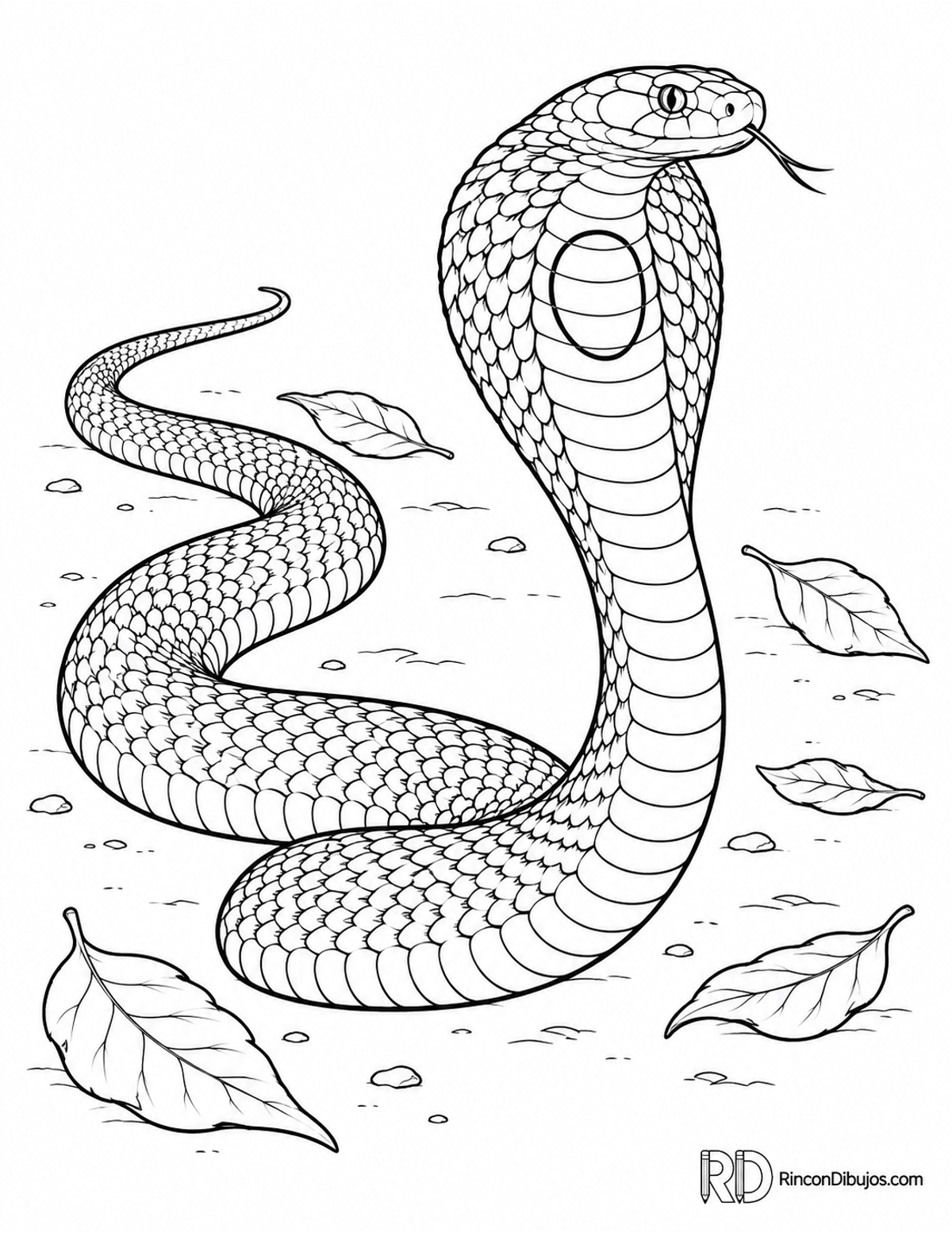 Dibujo de cobra monocelada deslizándose para colorear Dibujo de cobra monocelada deslizándose para colorear