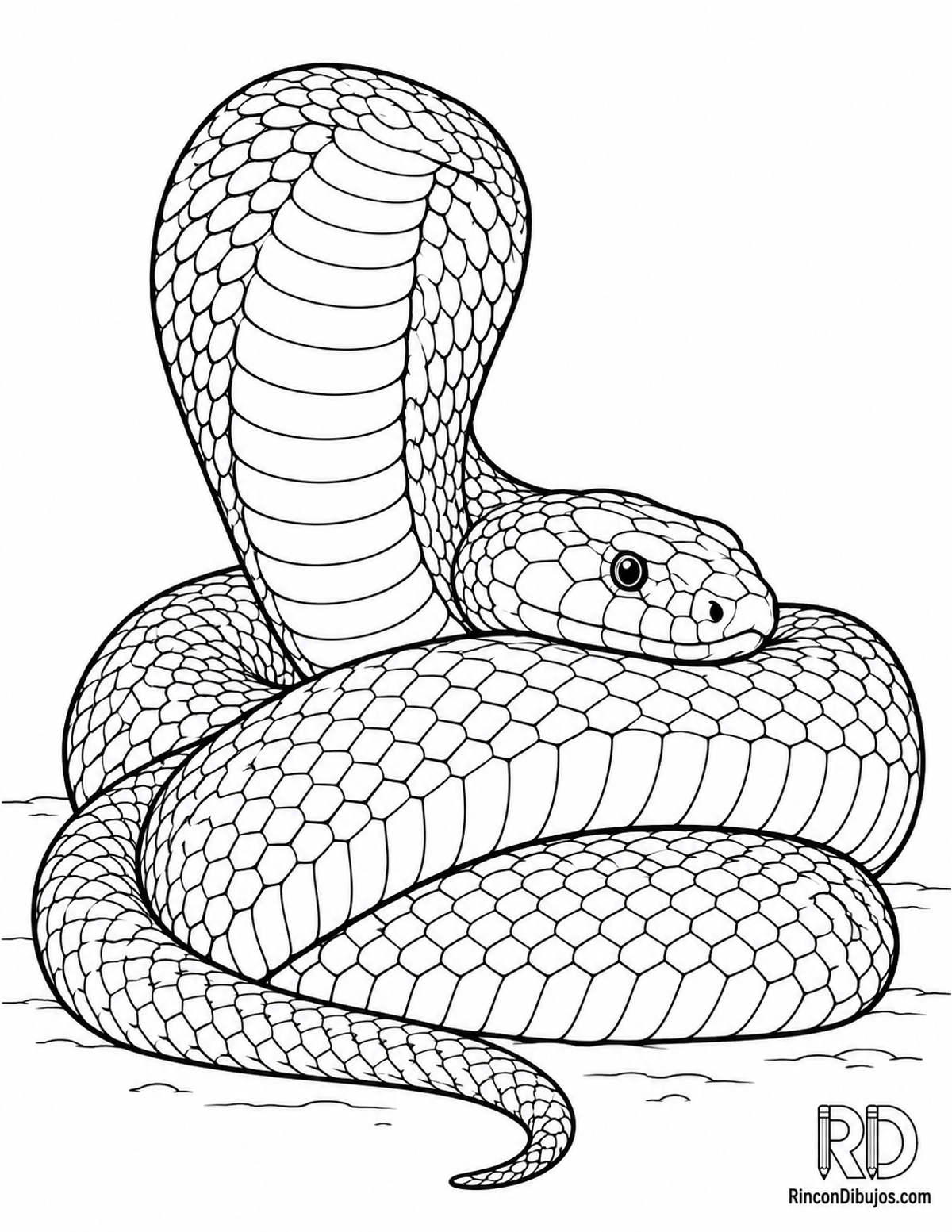 Dibujo de cobra real descansando para colorear Dibujo de cobra real descansando para colorear