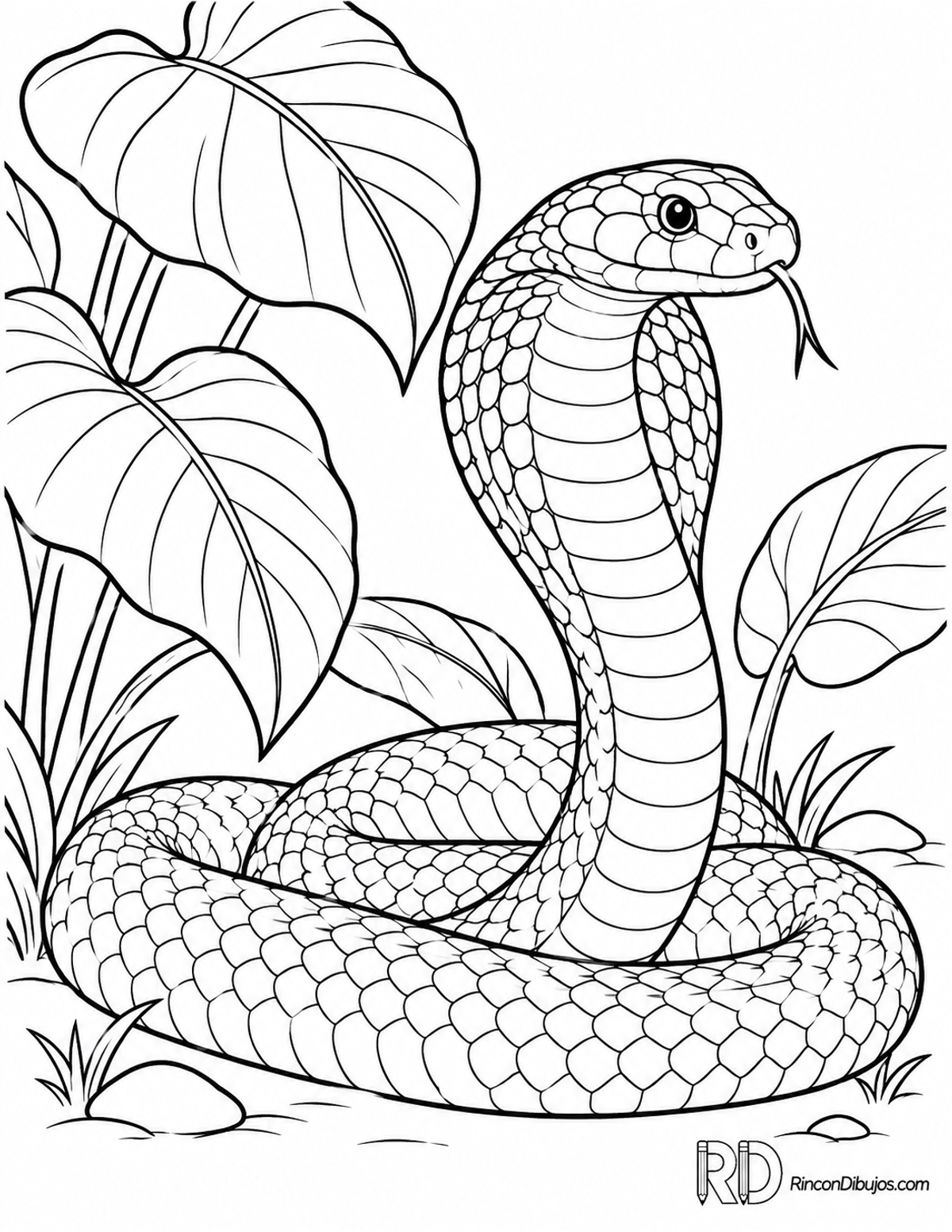 Dibujo de cobra real joven para colorear Dibujo de cobra real joven para colorear