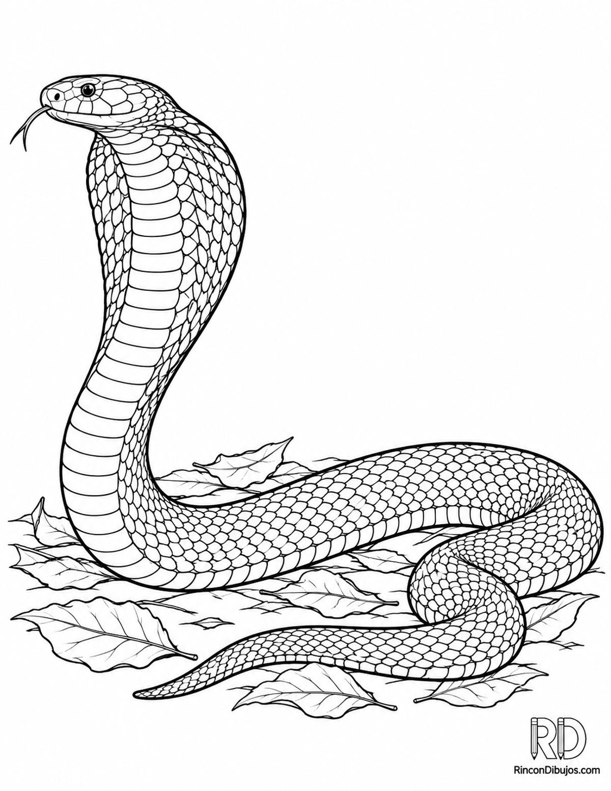 Dibujo de cobra real para colorear Dibujo de cobra real para colorear