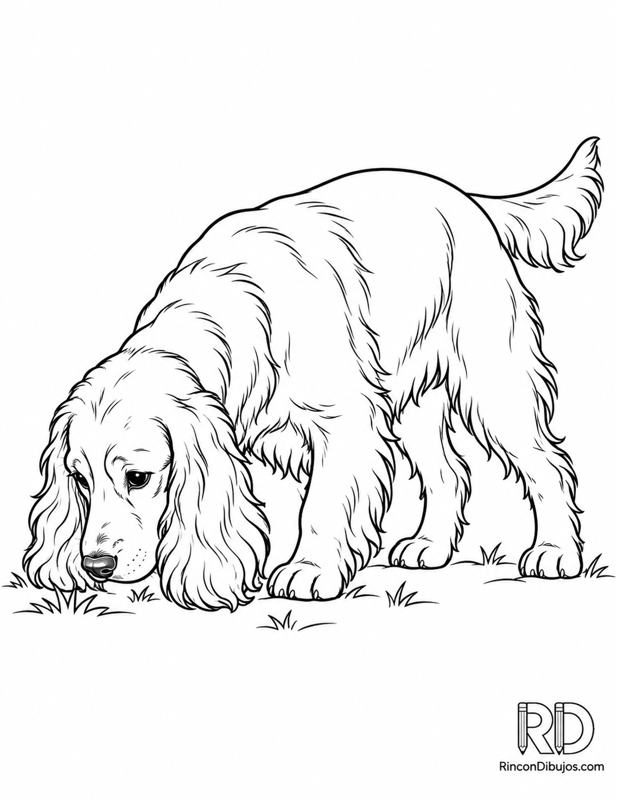 Dibujo de cocker spaniel para colorear Dibujo de cocker spaniel para colorear