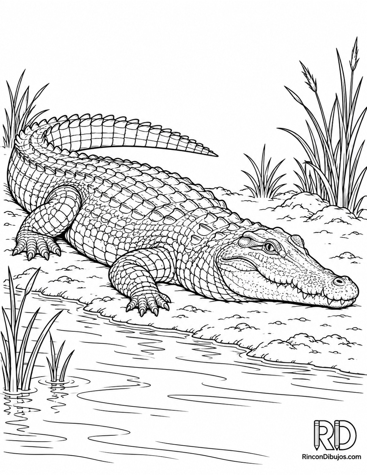 Dibujo de cocodrilo del Nilo para colorear