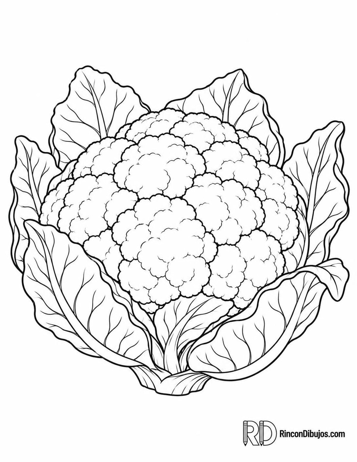 Dibujo de coliflor para colorear