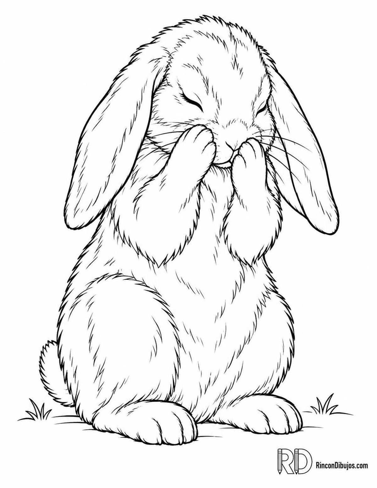 Dibujo de conejo aseándose para colorear
