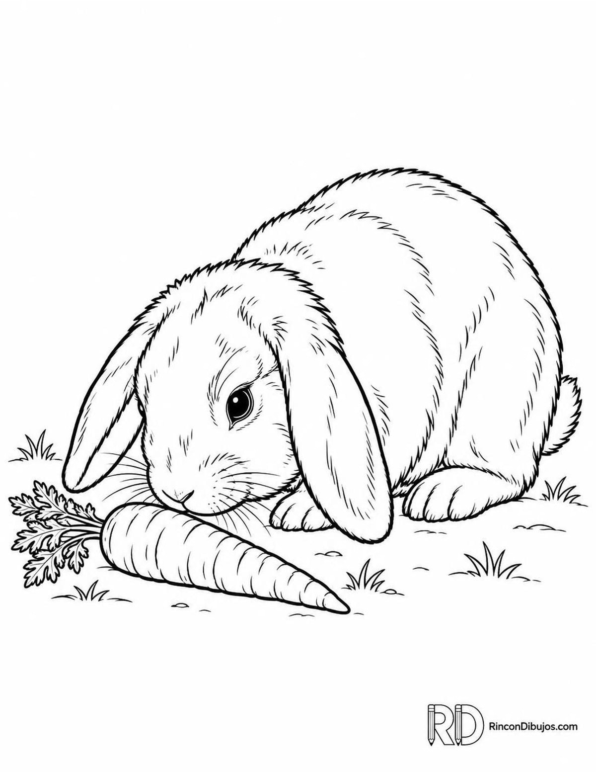Dibujo de conejo con zanahoria para colorear