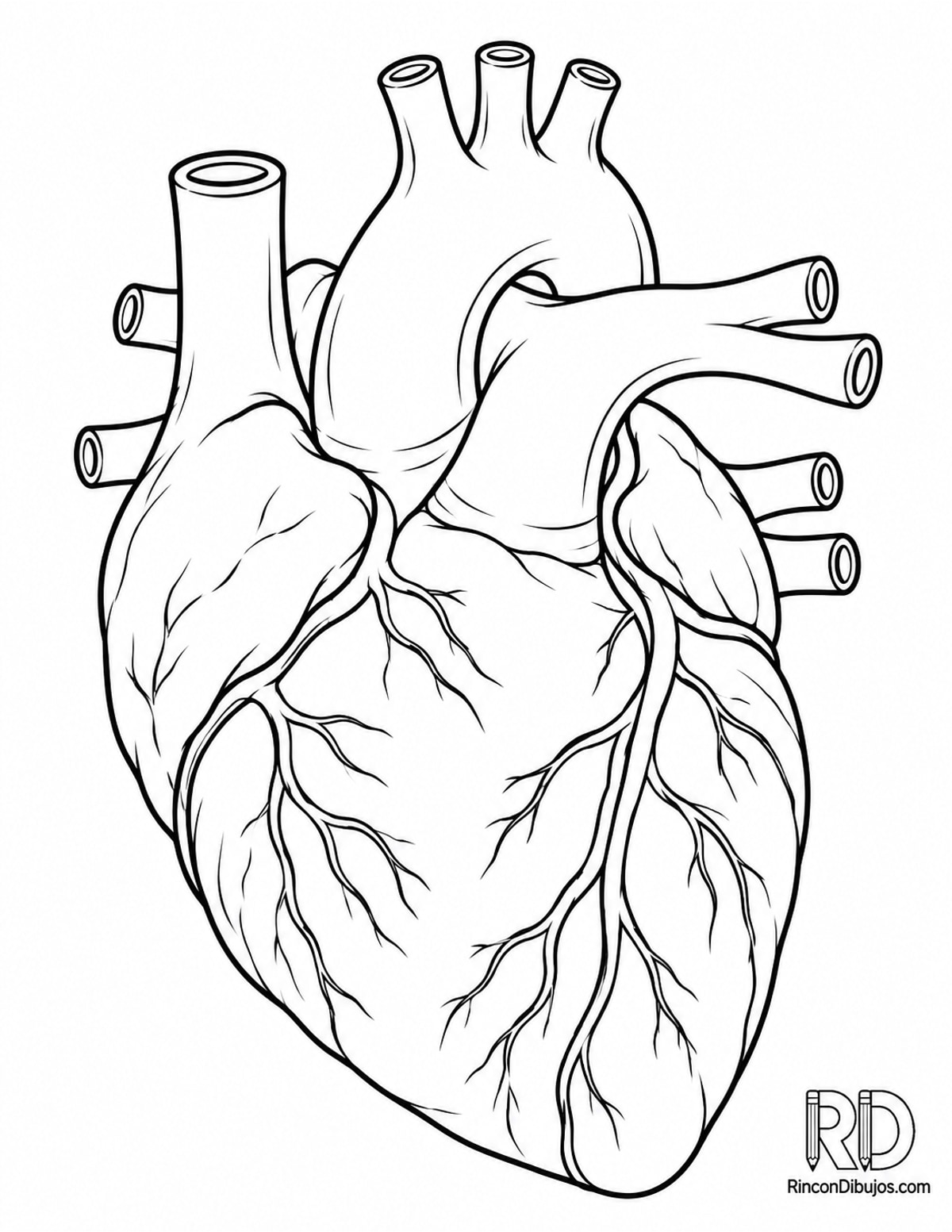 Dibujo de corazón con vasos para colorear Dibujo de corazón con vasos para colorear