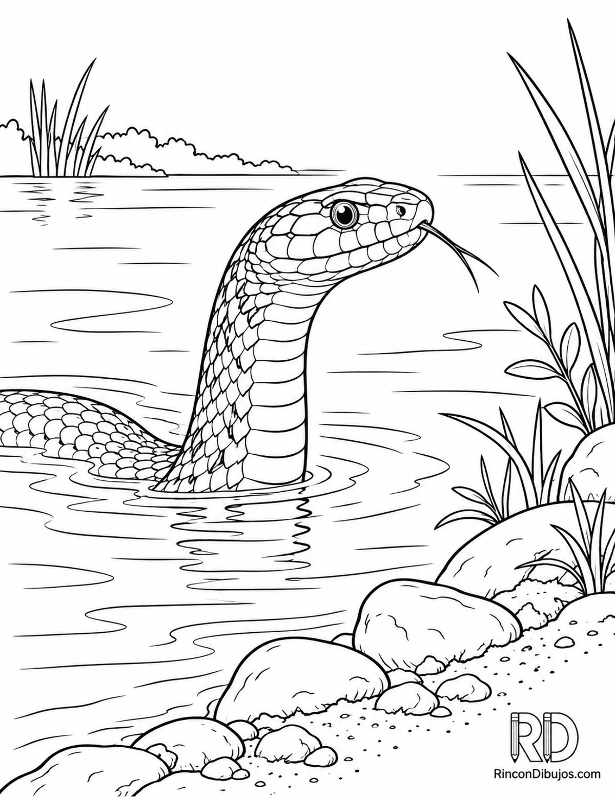 Dibujo de culebra de agua para colorear Dibujo de culebra de agua para colorear
