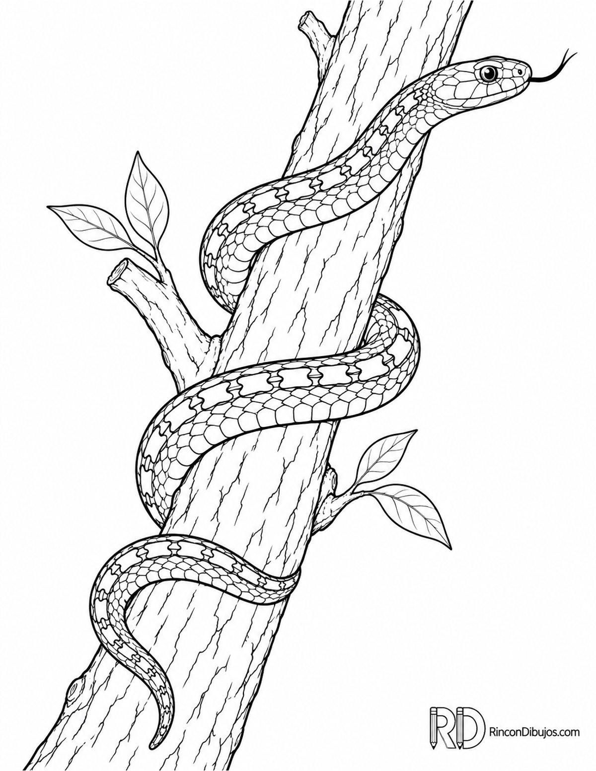 Dibujo de culebra escalera para colorear Dibujo de culebra escalera para colorear