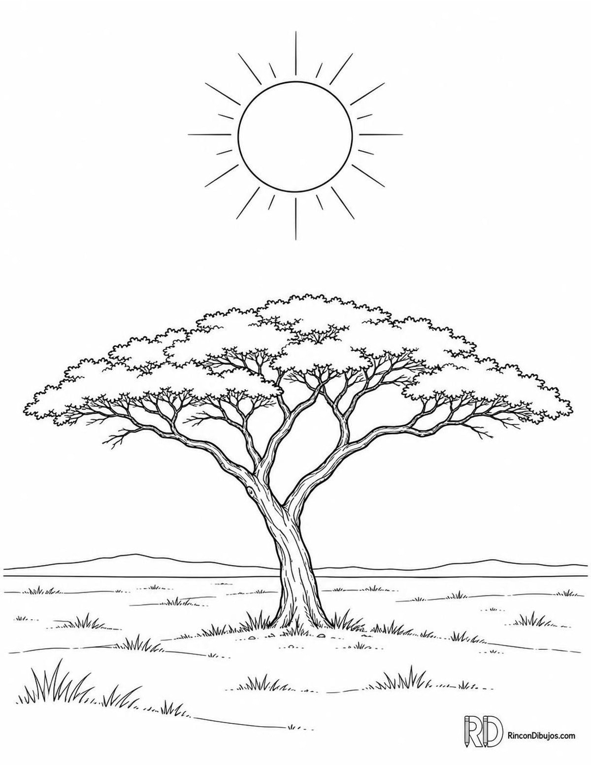 Dibujo de del Sol con acacia para colorear Dibujo de del Sol con acacia para colorear