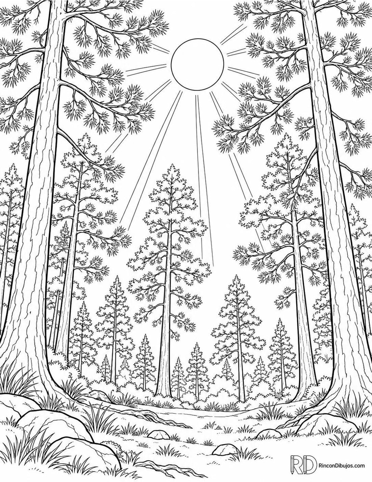 Dibujo de del Sol entre pinos para colorear Dibujo de del Sol entre pinos para colorear