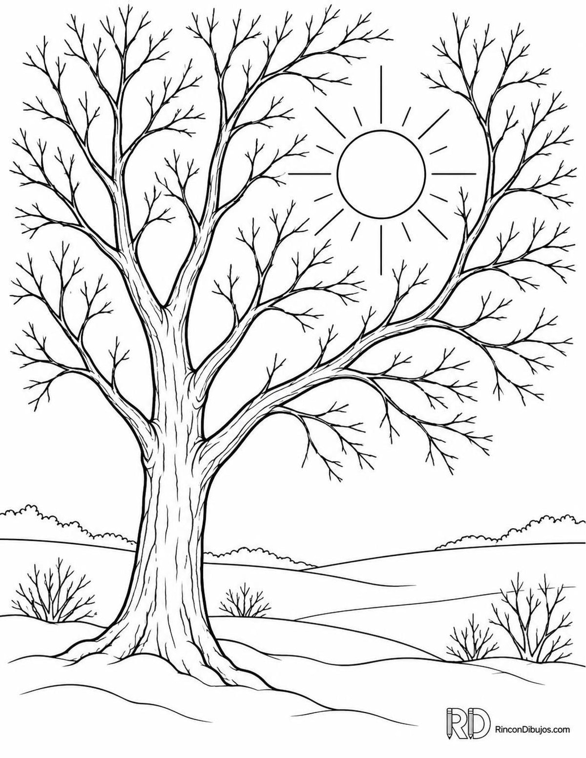 Dibujo de del Sol invernal para colorear Dibujo de del Sol invernal para colorear