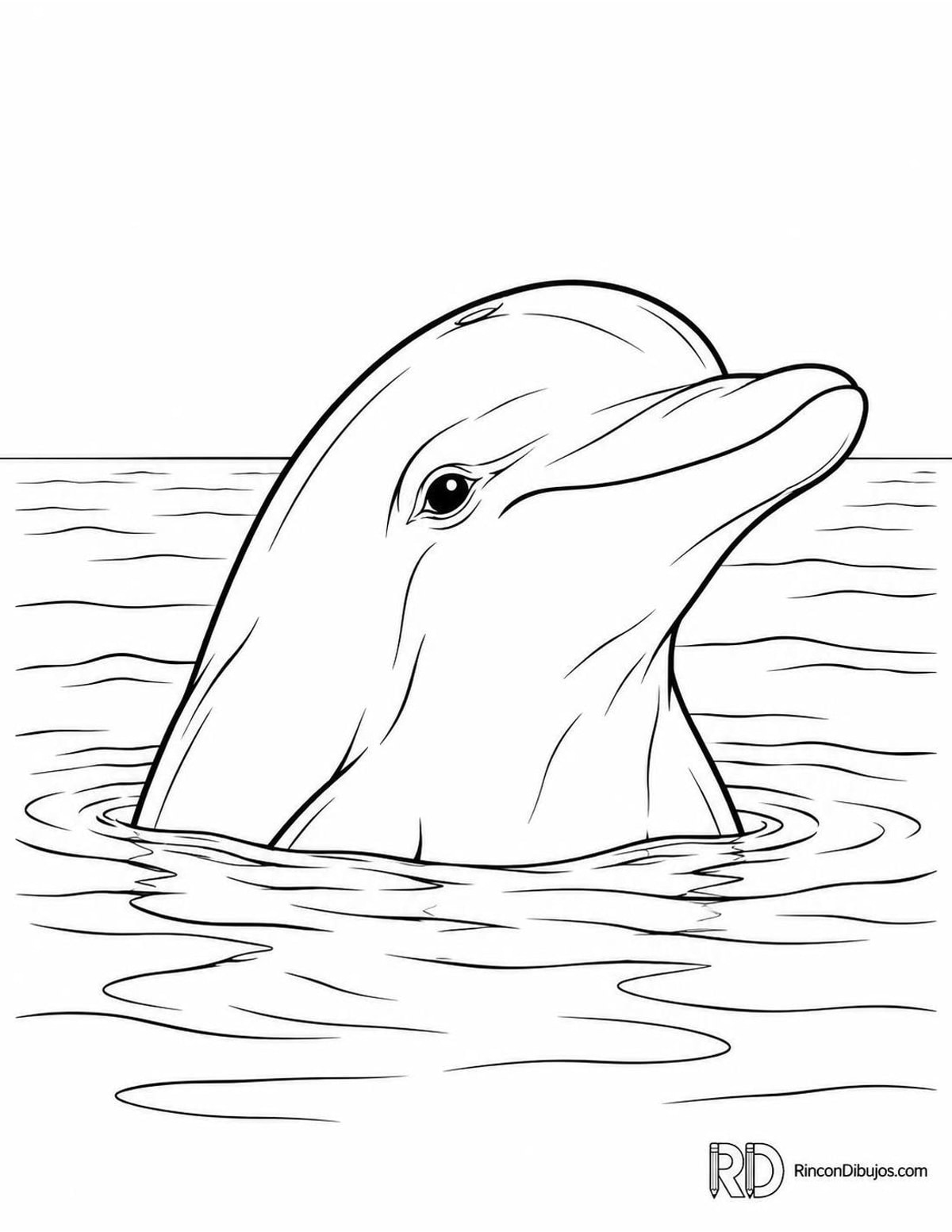 Dibujo de delfín asomando para colorear Dibujo de delfín asomando para colorear