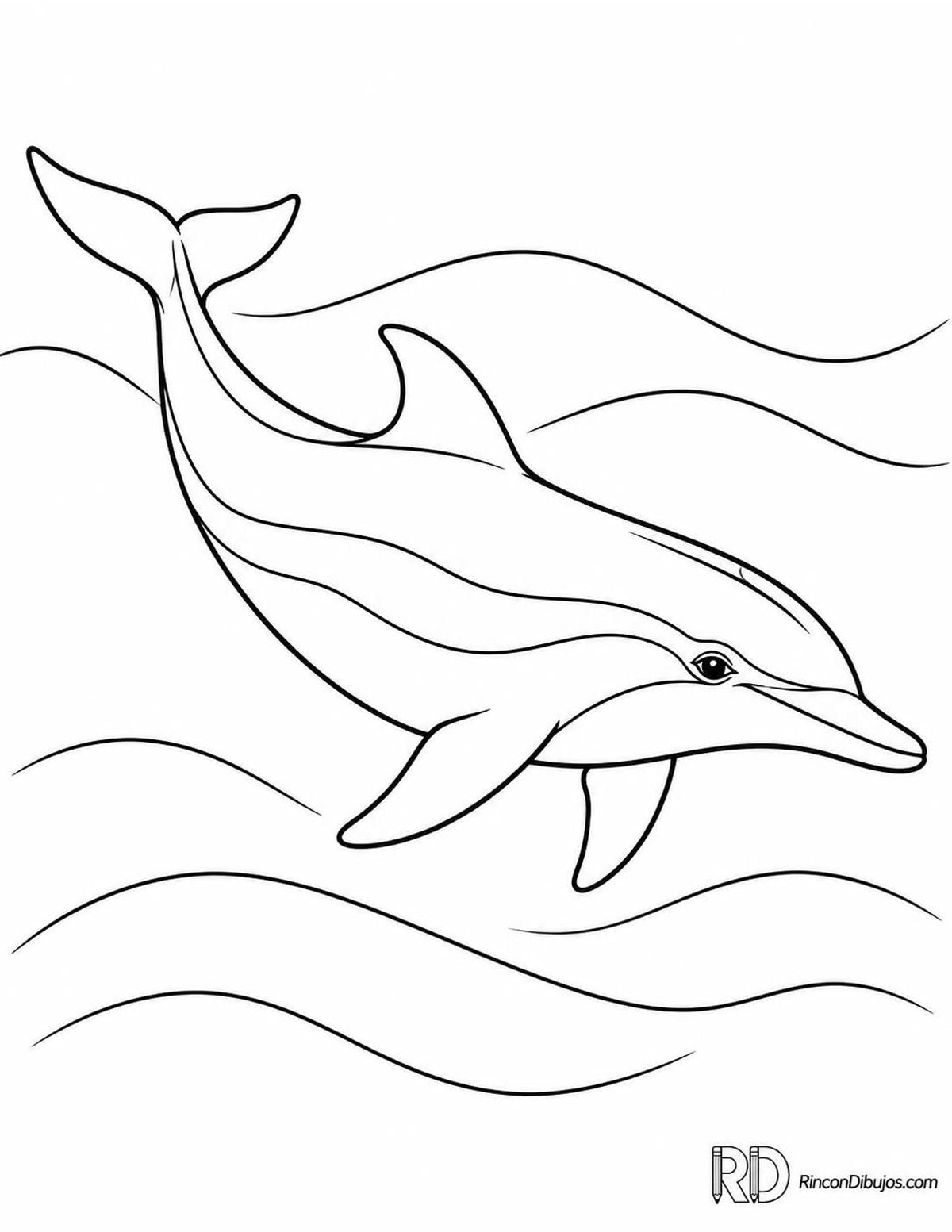 Dibujo de delfín común nadando para colorear Dibujo de delfín común nadando para colorear