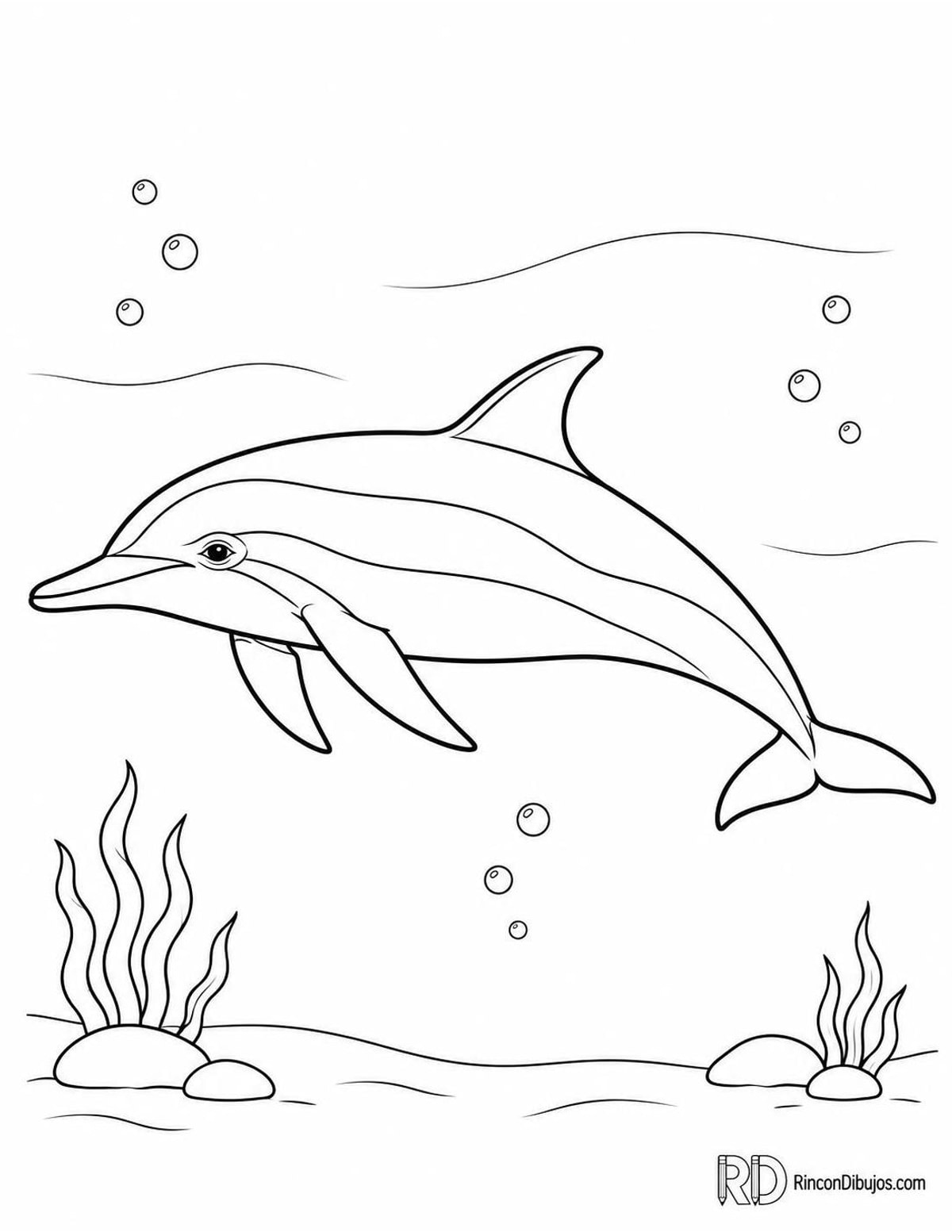 Dibujo de delfín común para colorear Dibujo de delfín común para colorear