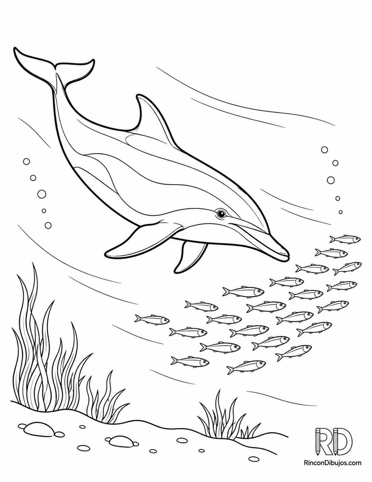 Dibujo de delfín común peces para colorear Dibujo de delfín común peces para colorear
