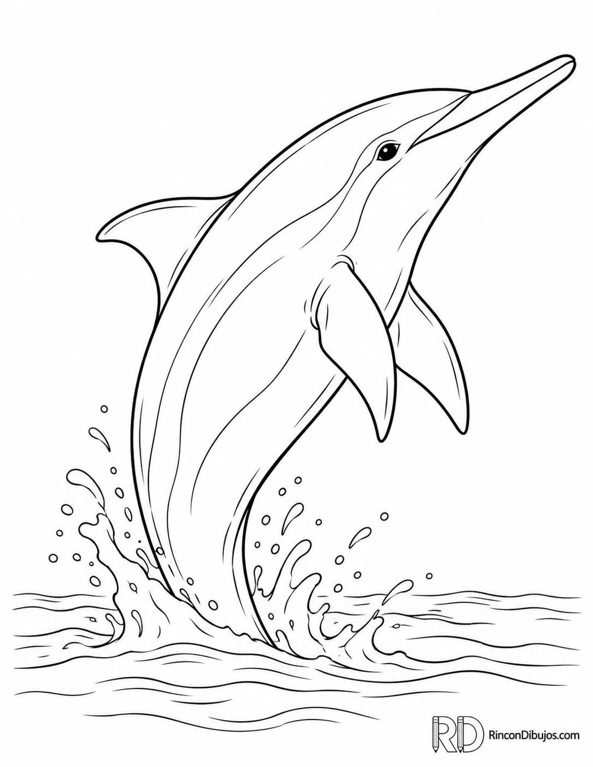 Dibujo de delfín girador para colorear Dibujo de delfín girador para colorear