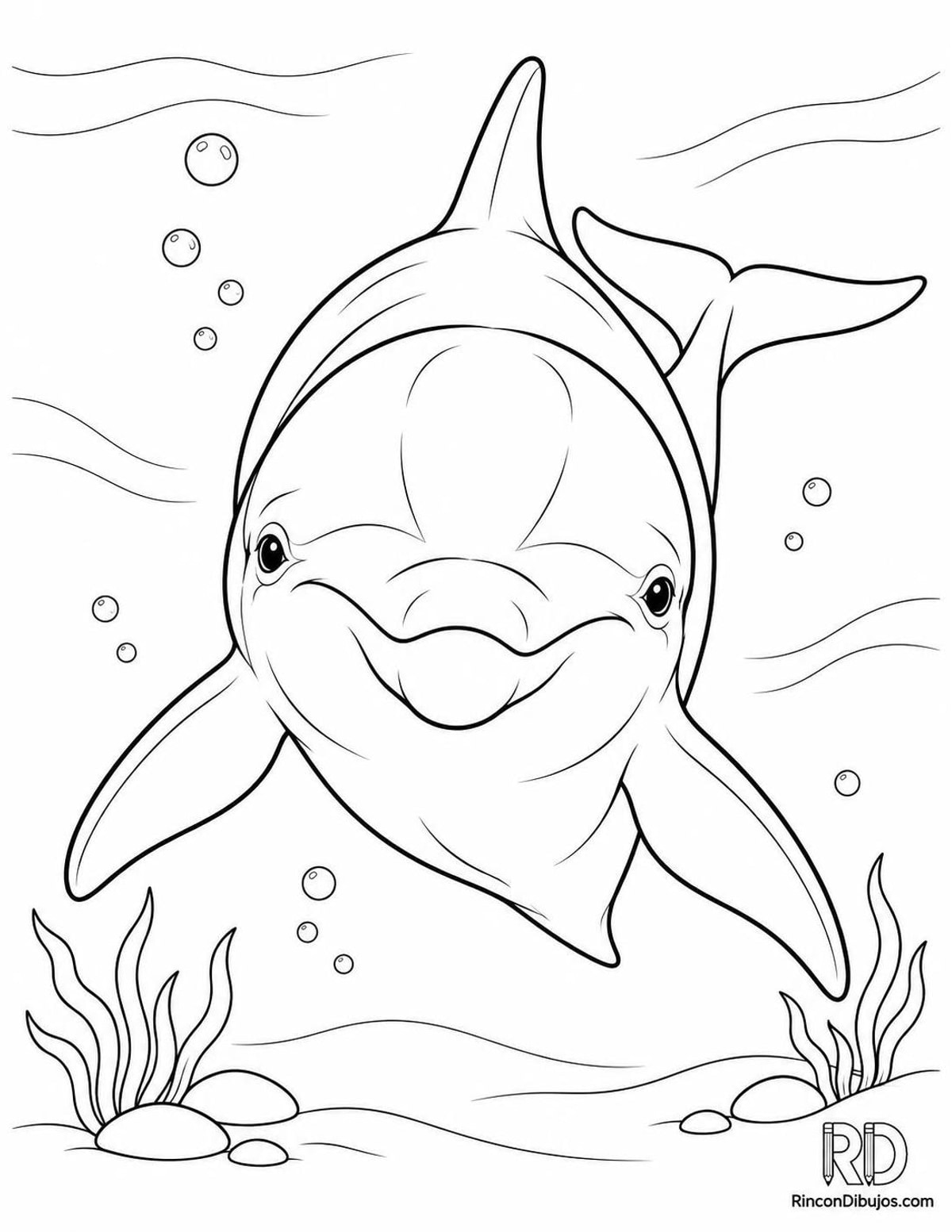 Dibujo de delfín mular frontal para colorear Dibujo de delfín mular frontal para colorear