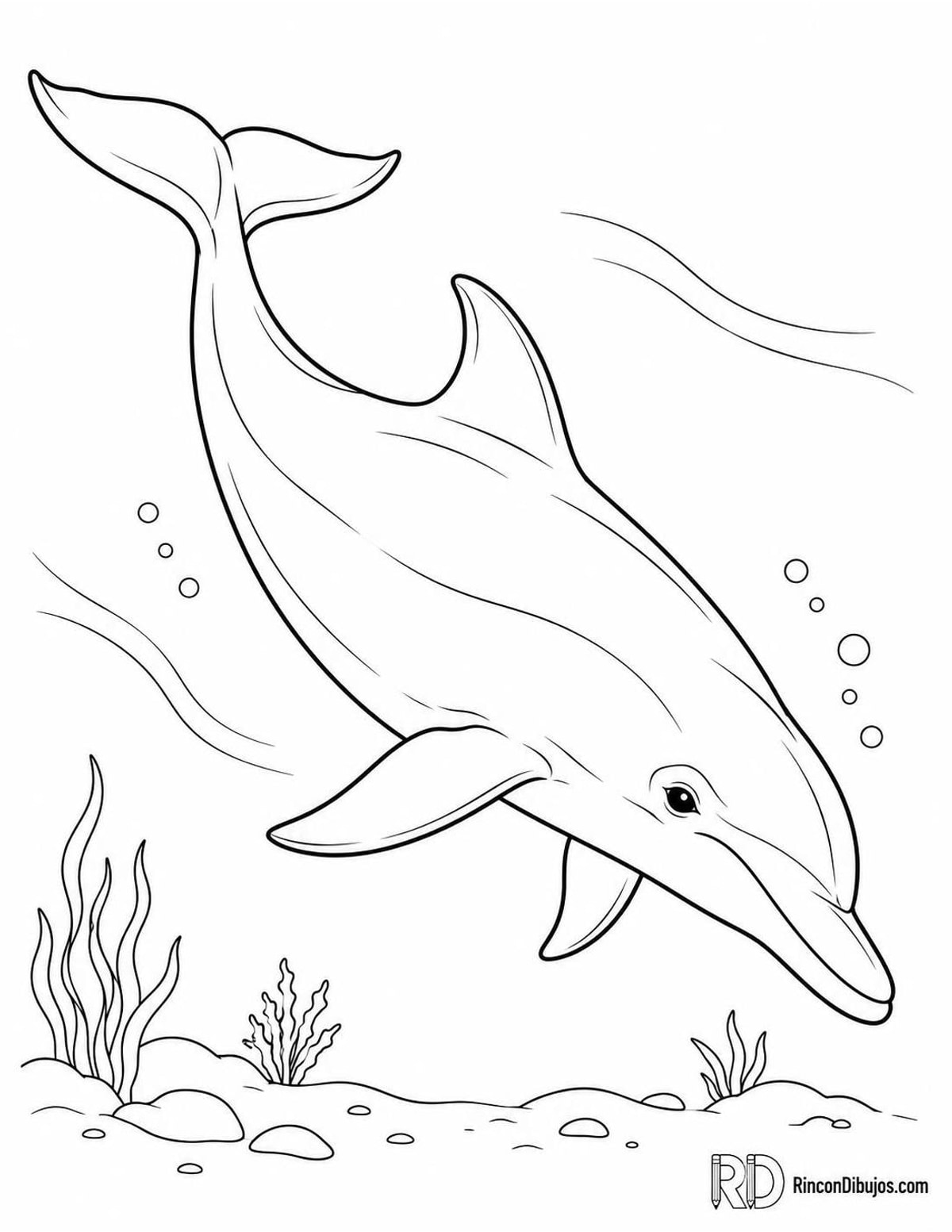 Dibujo de delfín mular nadando para colorear Dibujo de delfín mular nadando para colorear