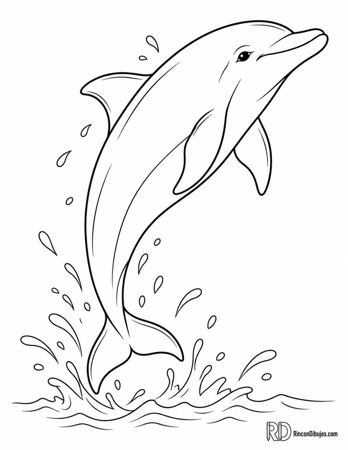 Dibujo de delfín saltando para colorear Dibujo de delfín saltando para colorear