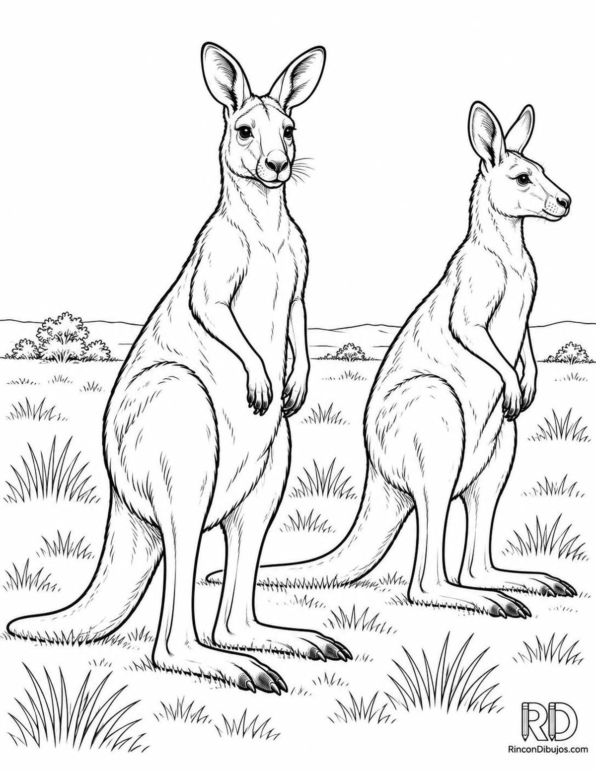 Dibujo de dos canguros para colorear Dibujo de dos canguros para colorear