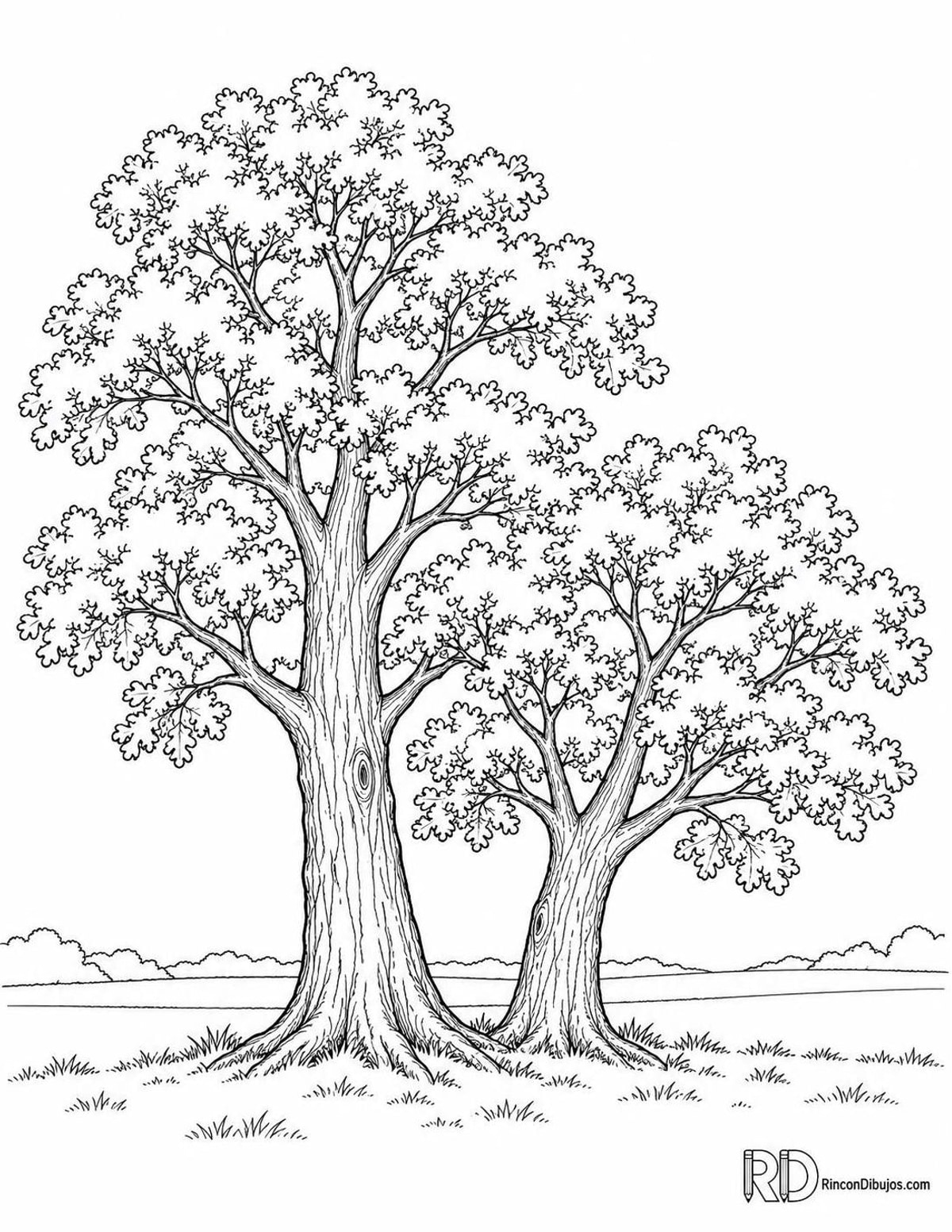 Dibujo de dos robles para colorear Dibujo de dos robles para colorear