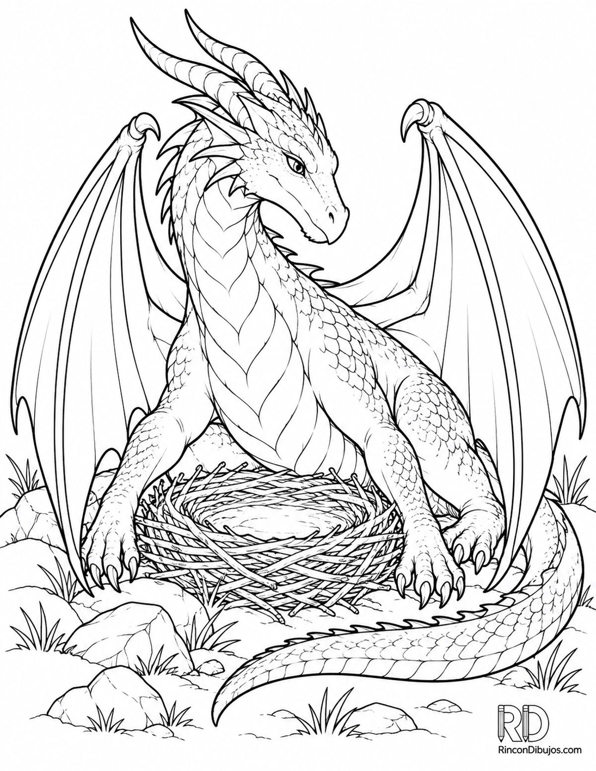 Dibujo de dragón alado adulto para colorear Dibujo de dragón alado adulto para colorear