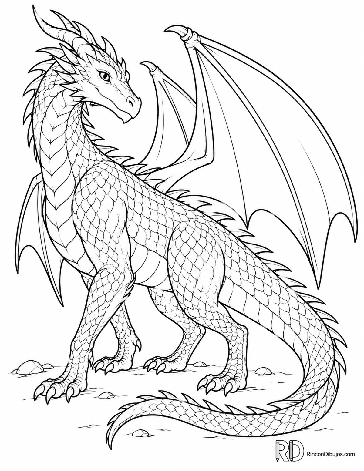 Dibujo de dragón alado adulto para colorear Dibujo de dragón alado adulto para colorear