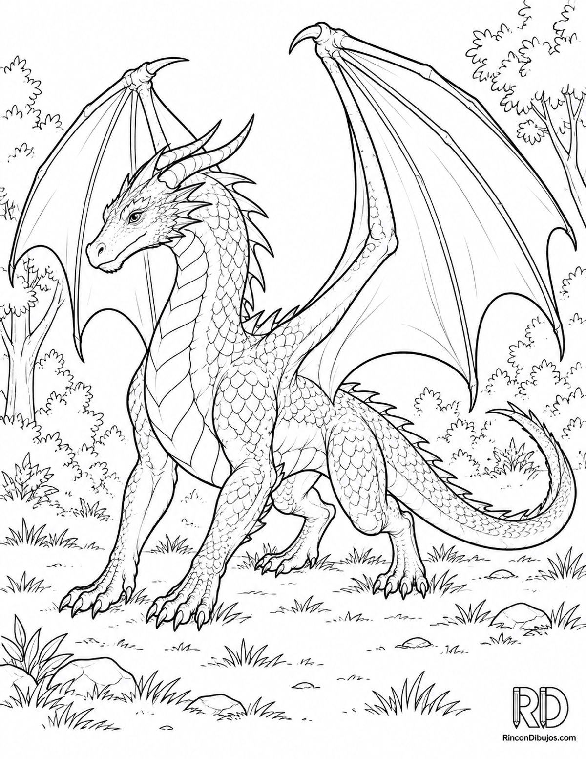 Dibujo de dragón alado aterrizando para colorear Dibujo de dragón alado aterrizando para colorear