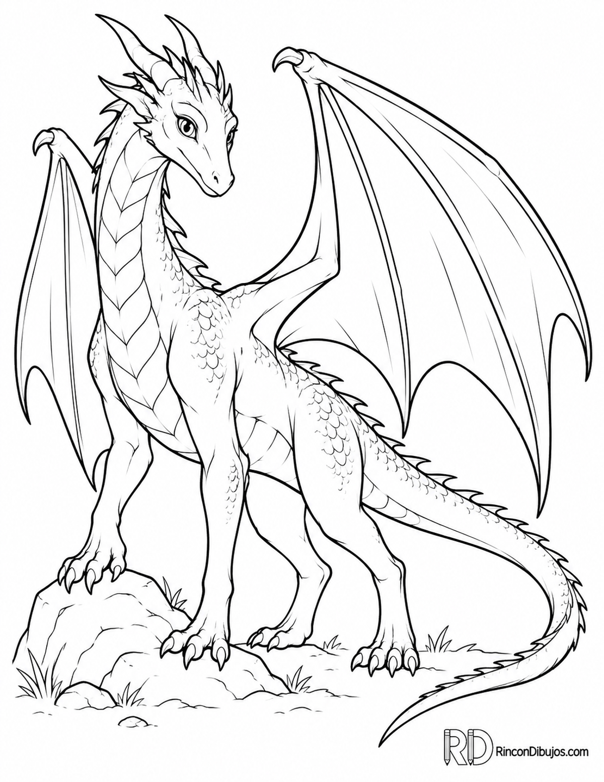 Dibujo de dragón alado delgado para colorear Dibujo de dragón alado delgado para colorear